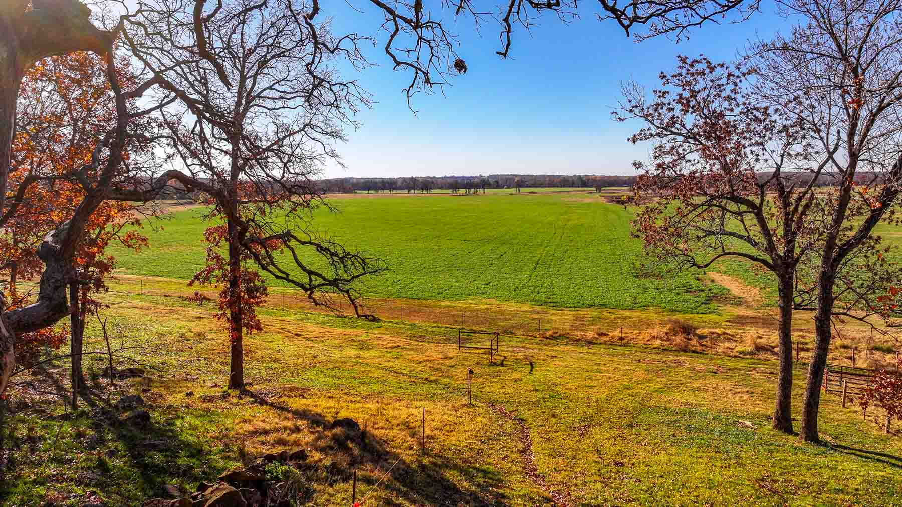 Davis Farm property picture 56 of 81