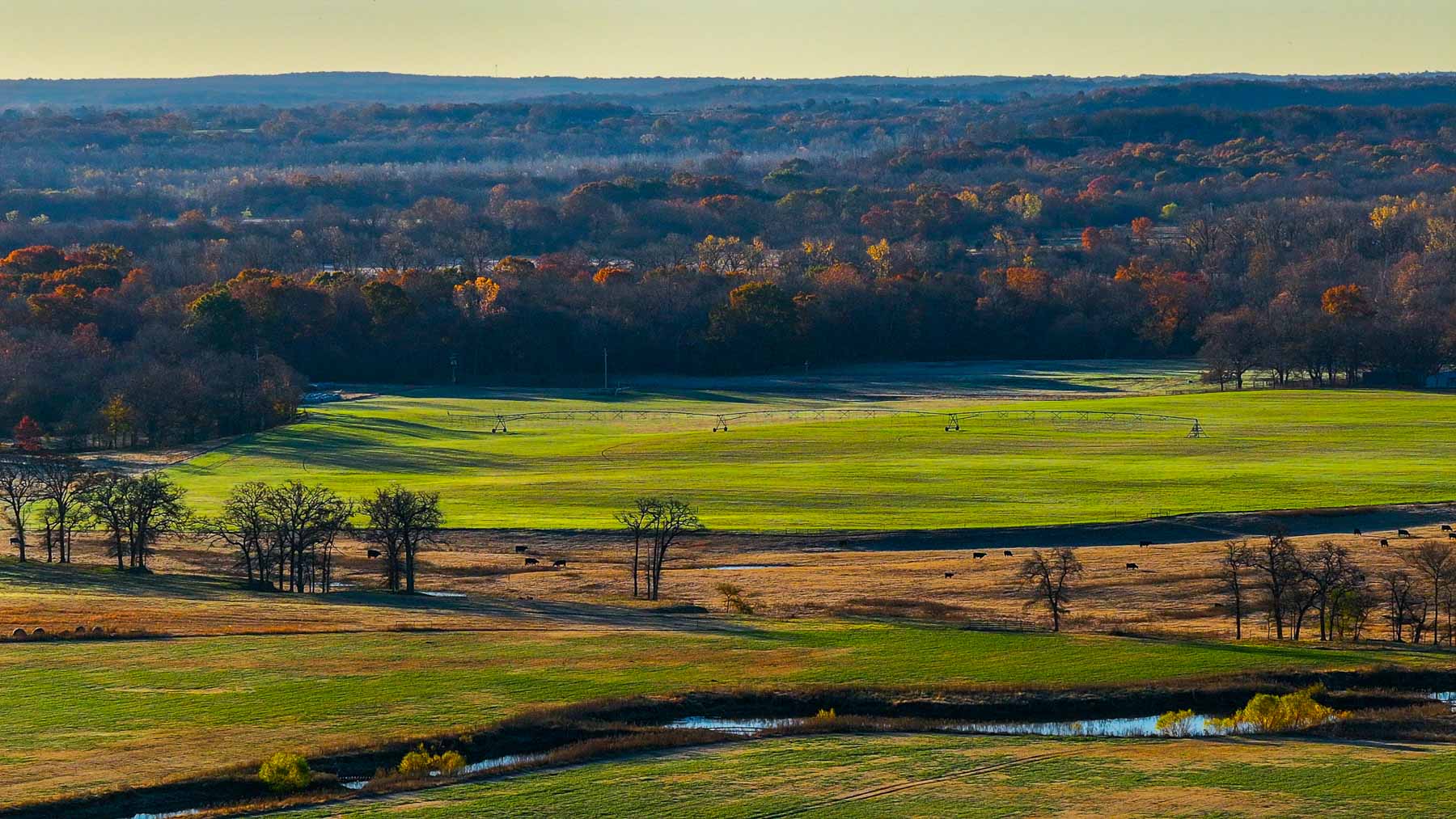 Davis Farm property picture 23 of 81
