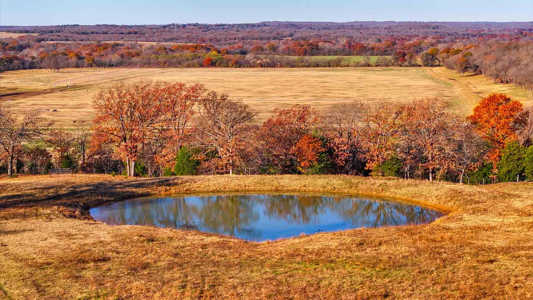Davis Farm property picture 52 of 81