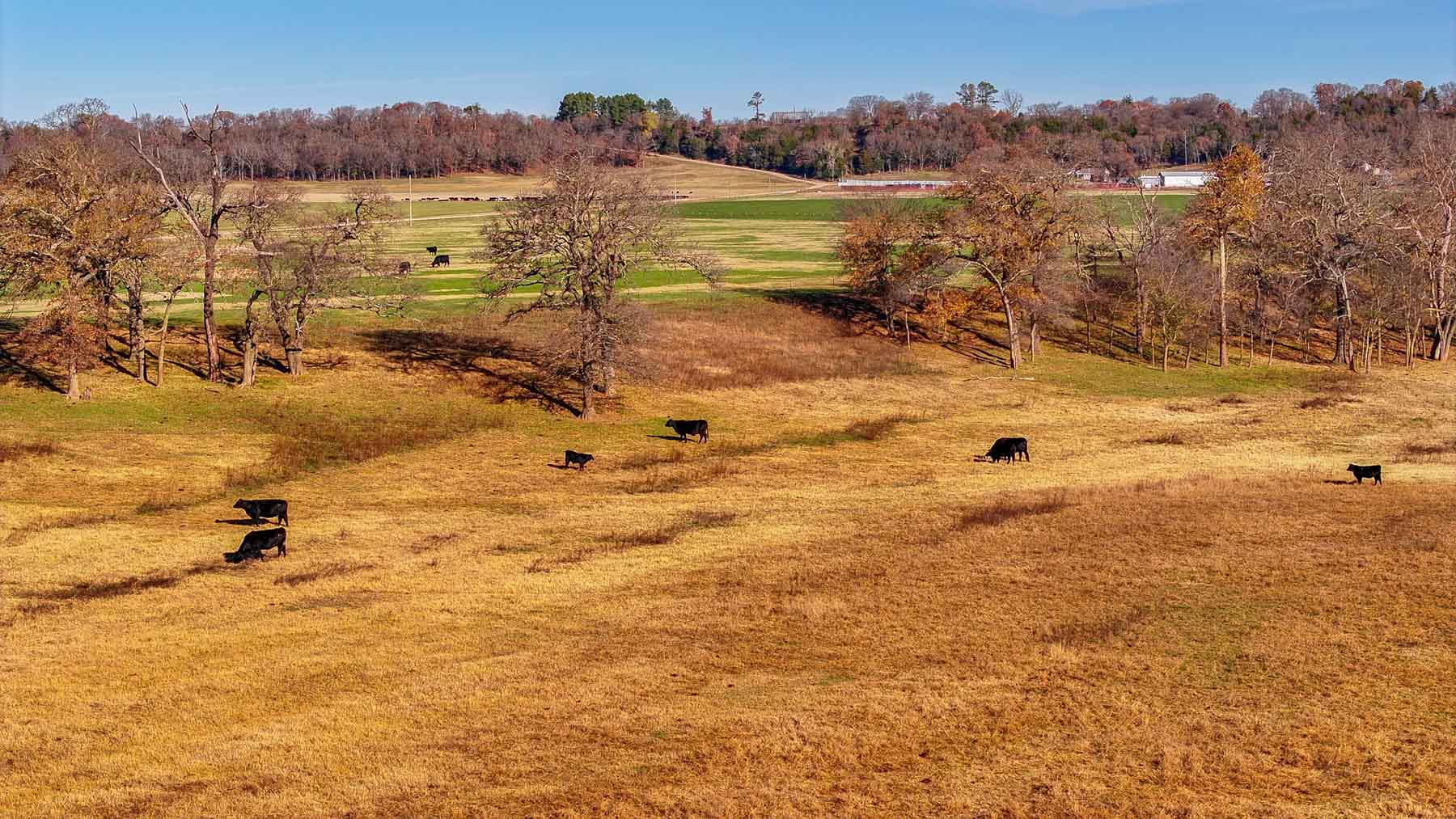 Davis Farm property picture 71 of 81