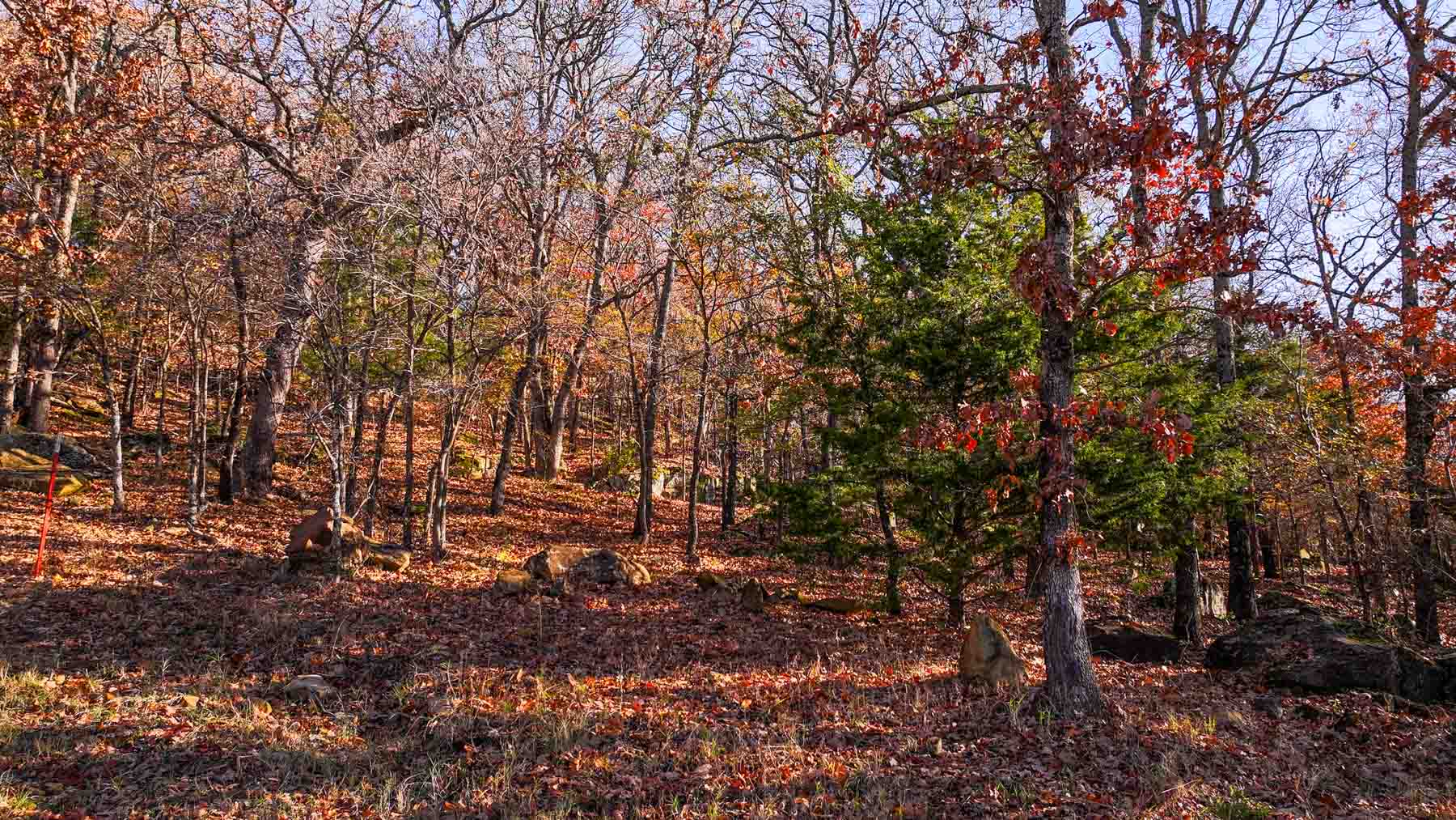 Davis Farm property picture 44 of 81