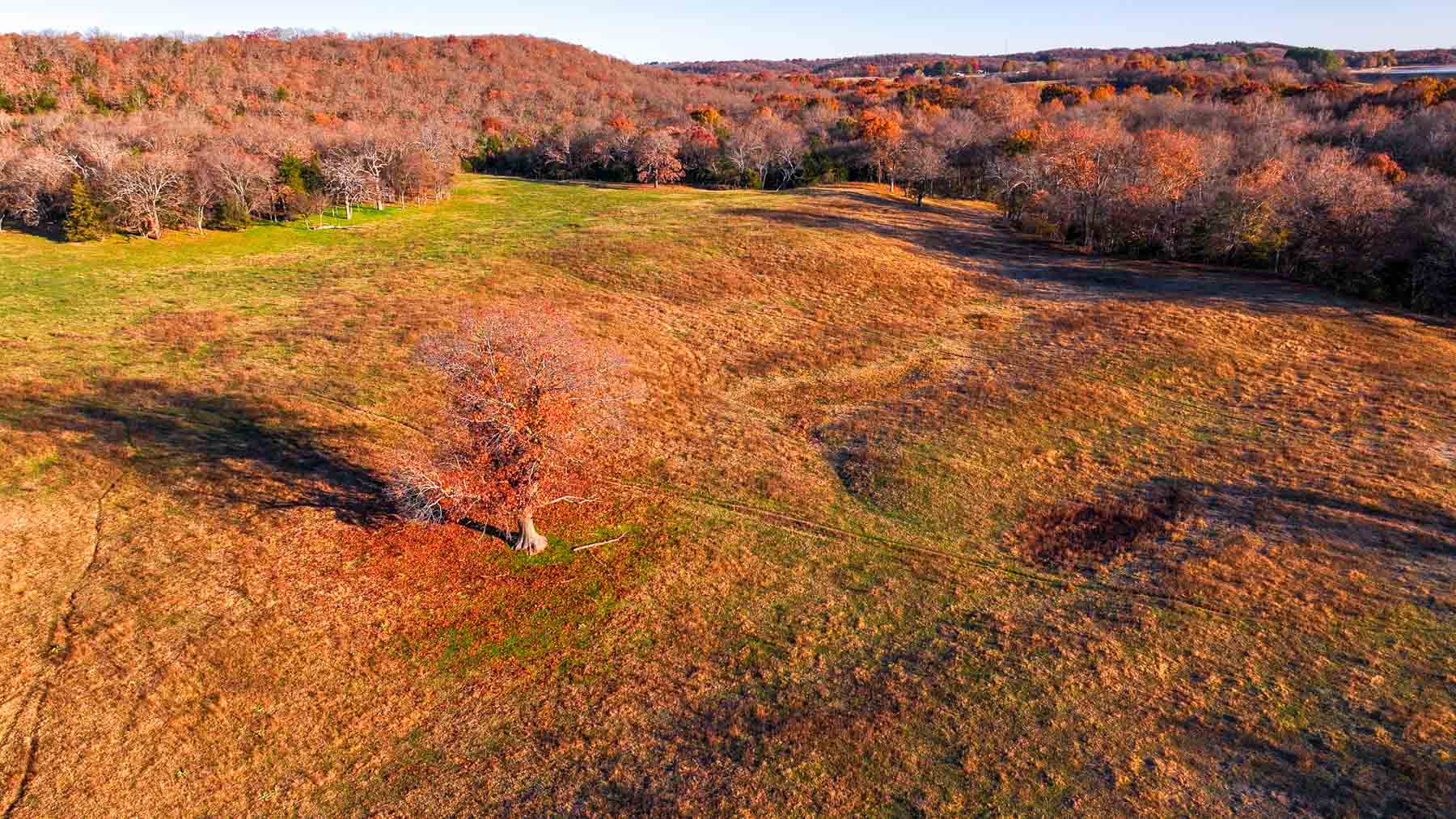 Davis Farm property picture 46 of 81