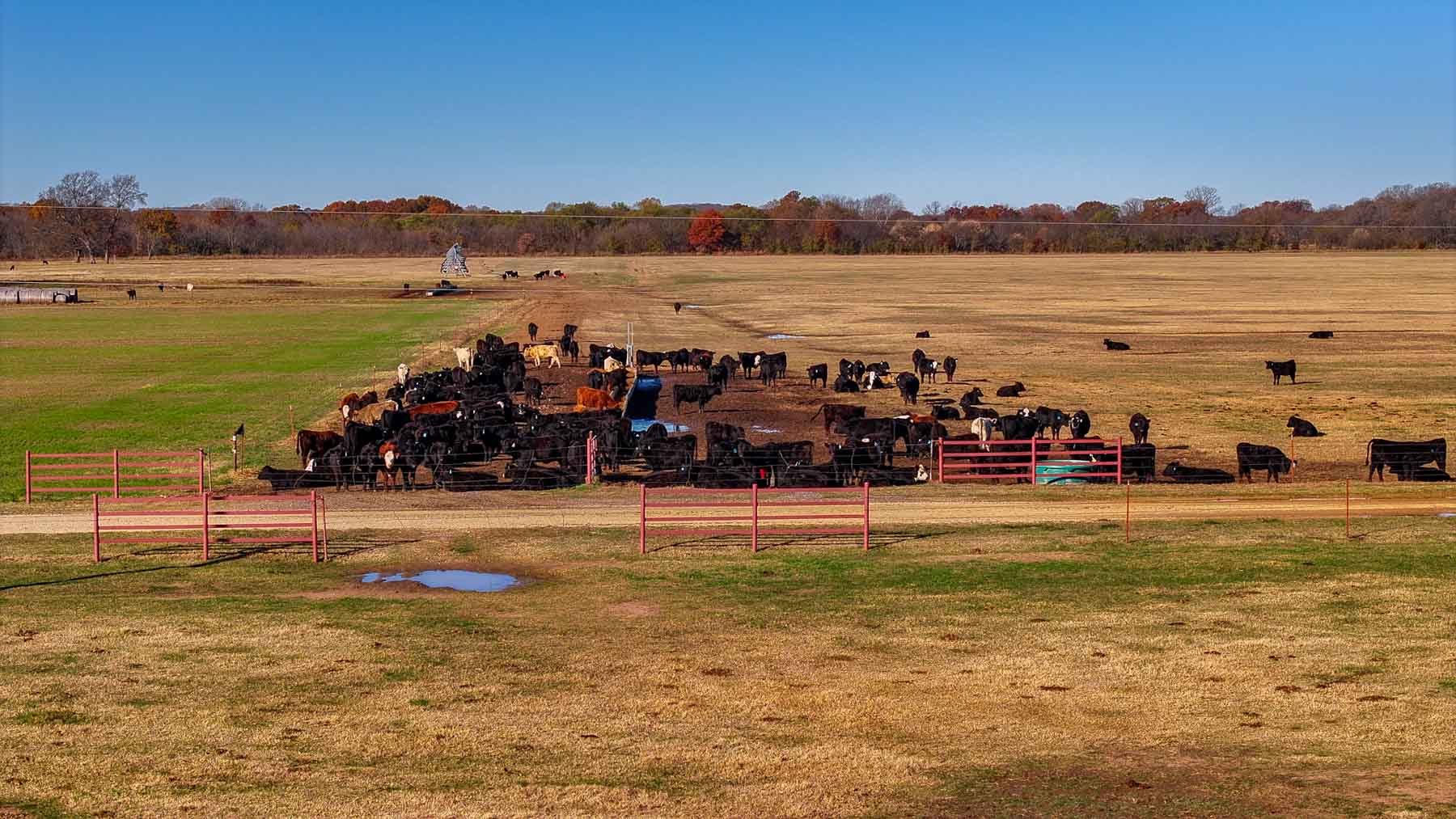 Davis Farm property picture 54 of 81