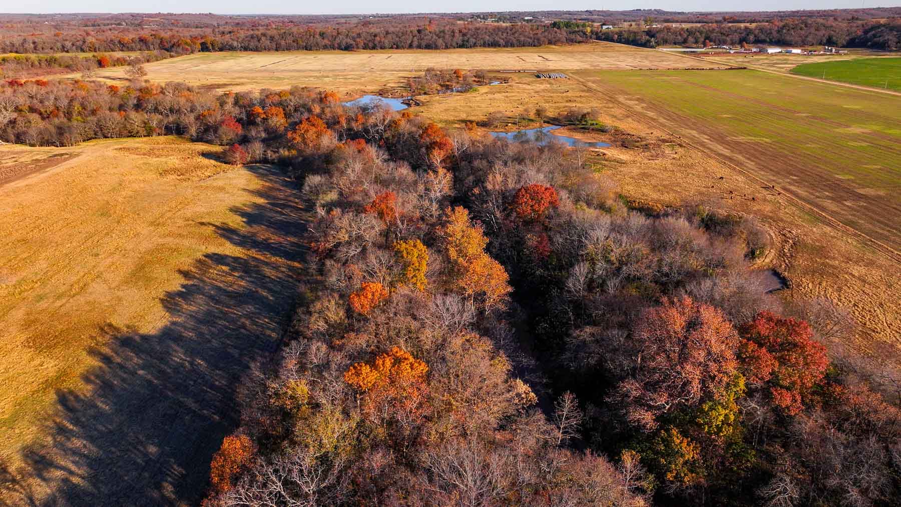 Davis Farm property picture 25 of 81