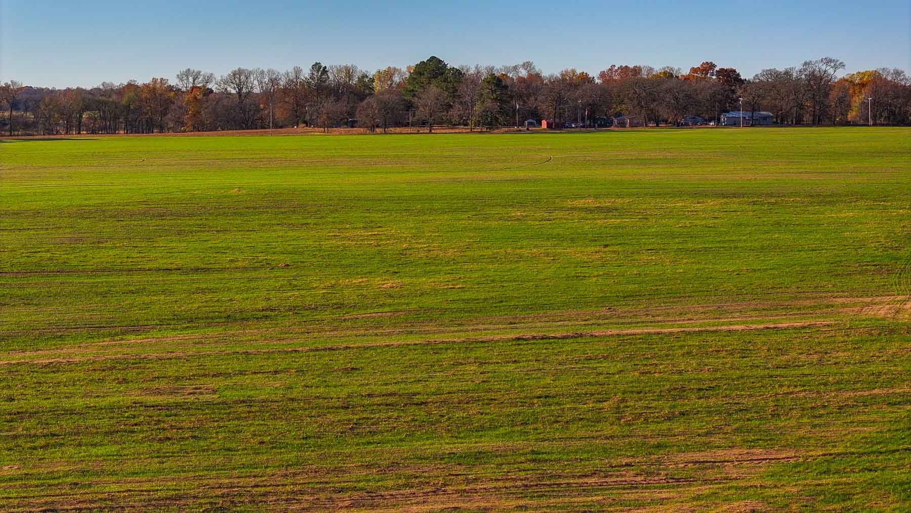 Davis Farm property picture 50 of 81
