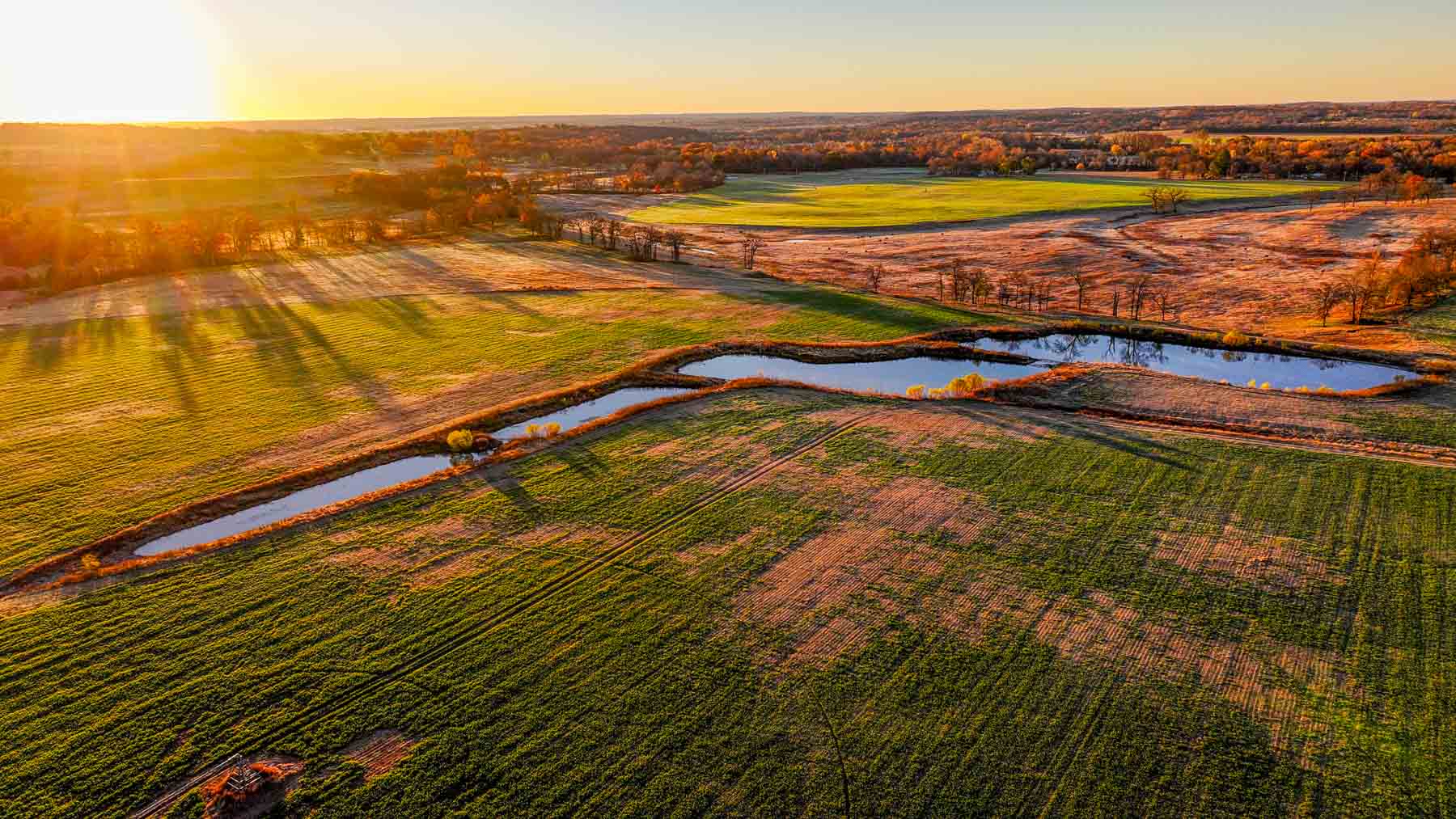 Davis Farm property picture 15 of 81