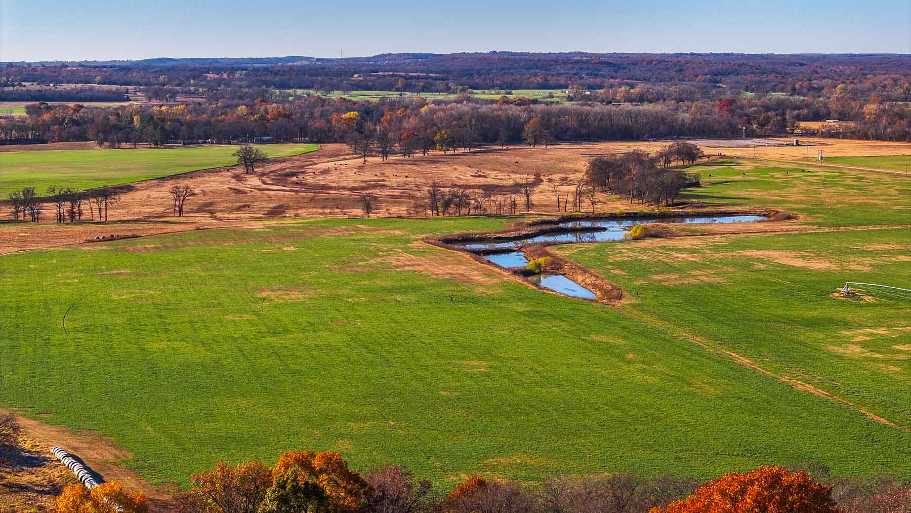 Davis Farm property picture 55 of 81