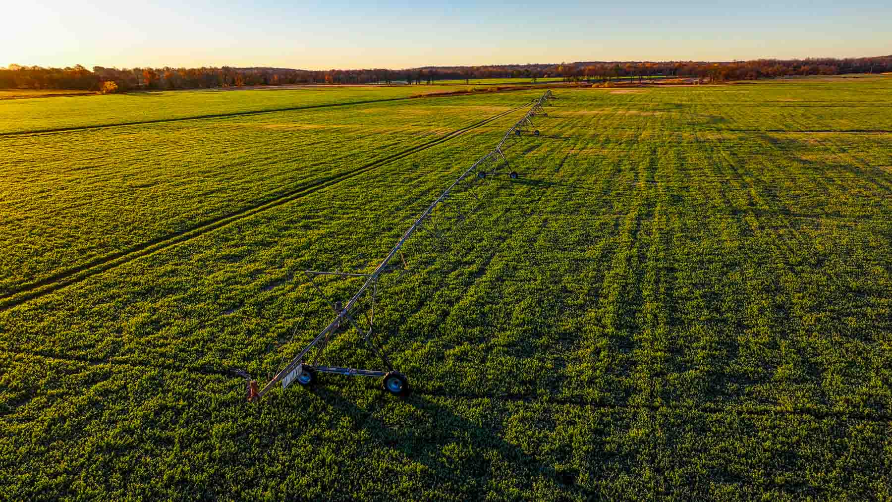 Davis Farm property picture 17 of 81