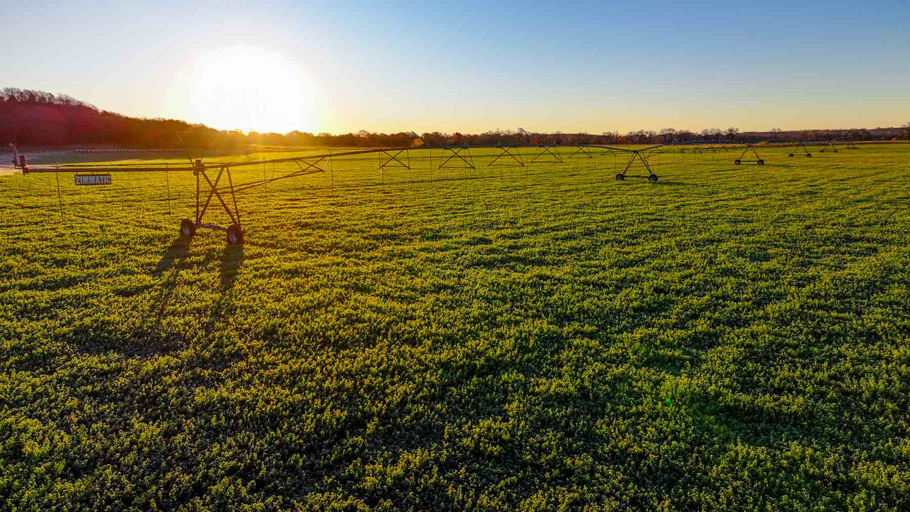 Davis Farm property picture 12 of 81