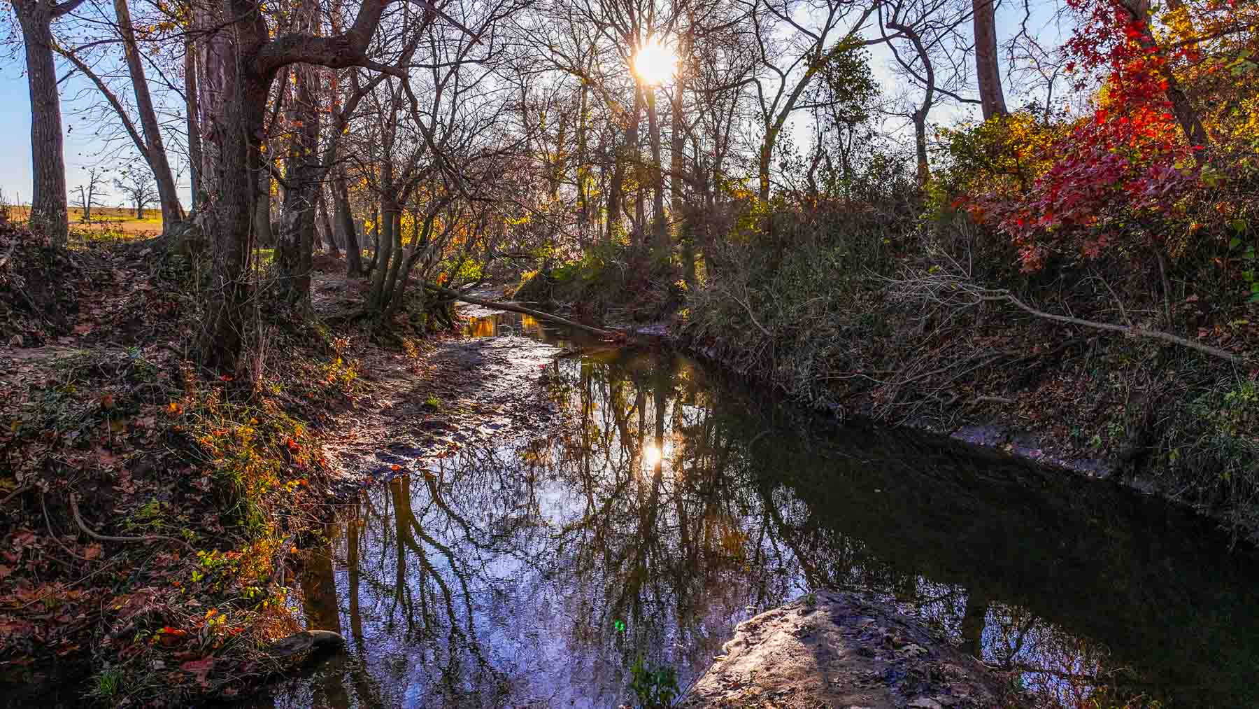 Davis Farm property picture 58 of 81
