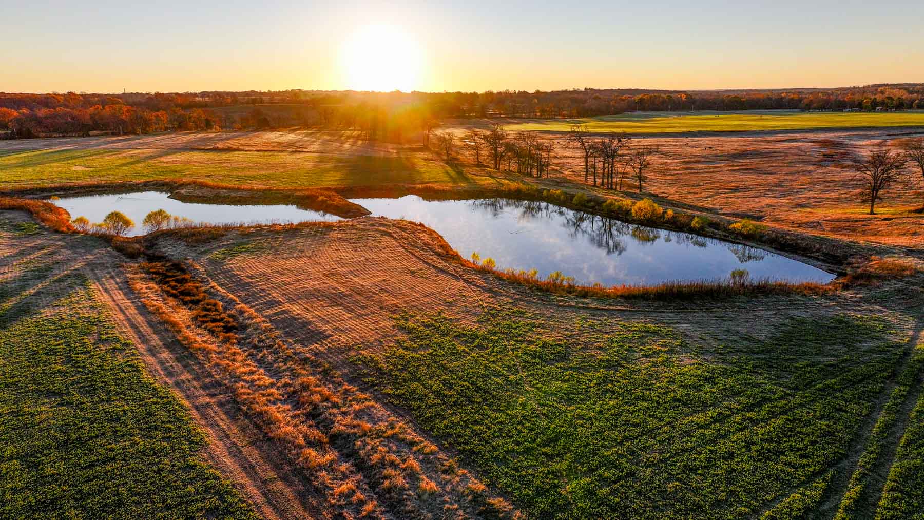 Davis Farm property picture 18 of 81