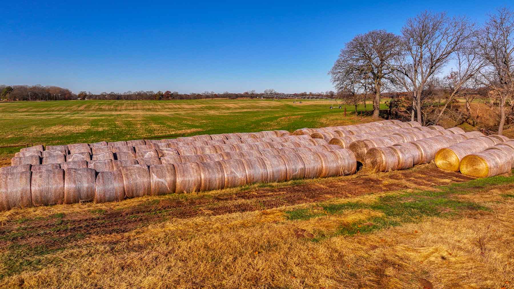 Davis Farm property picture 34 of 81