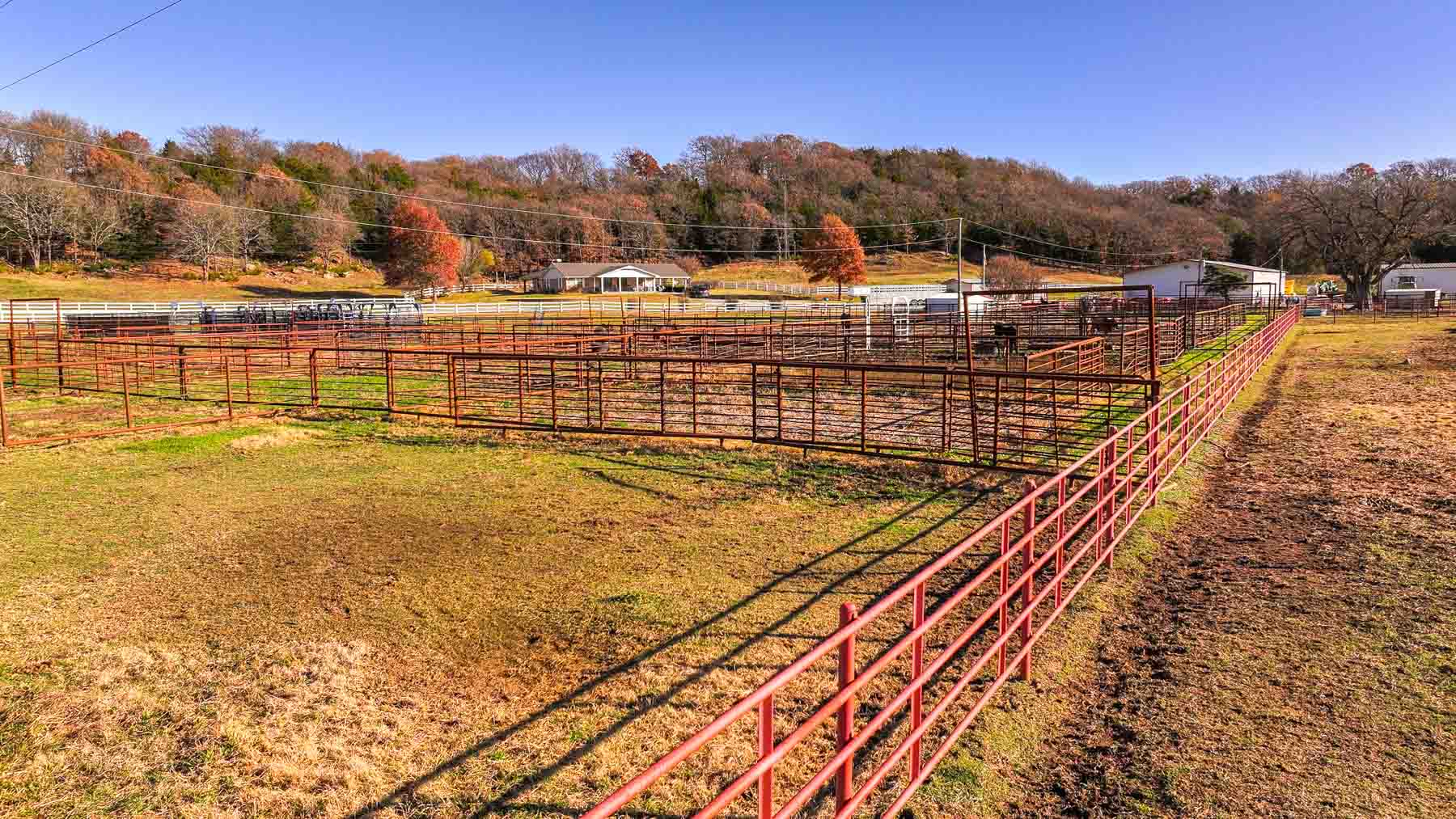 Davis Farm property picture 33 of 81