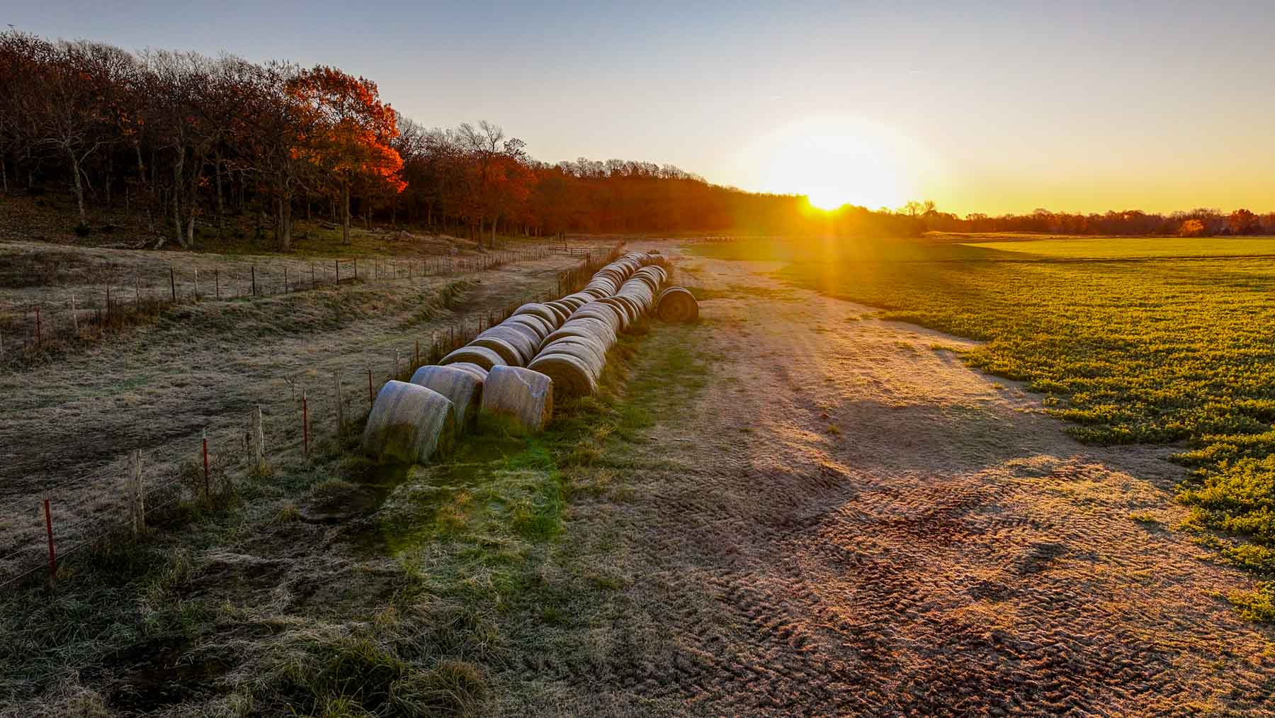 Davis Farm property picture 16 of 81