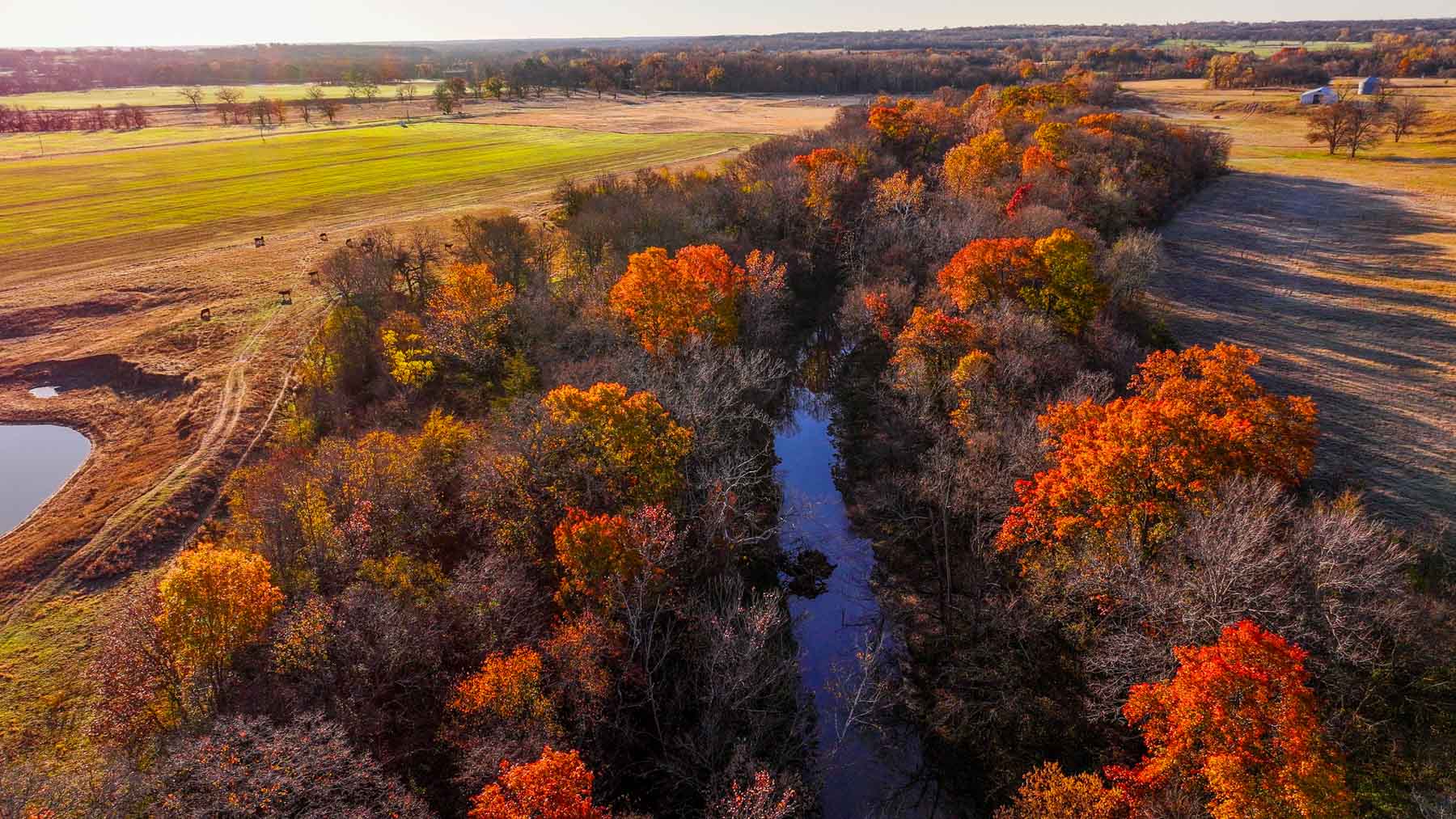Davis Farm property picture 73 of 81