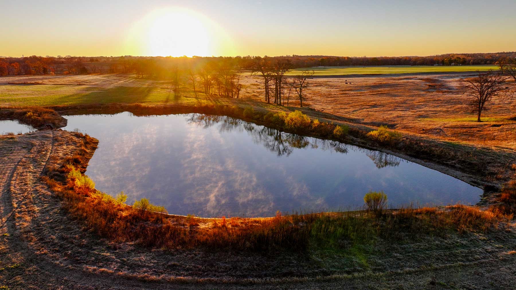 Davis Farm property picture 80 of 81