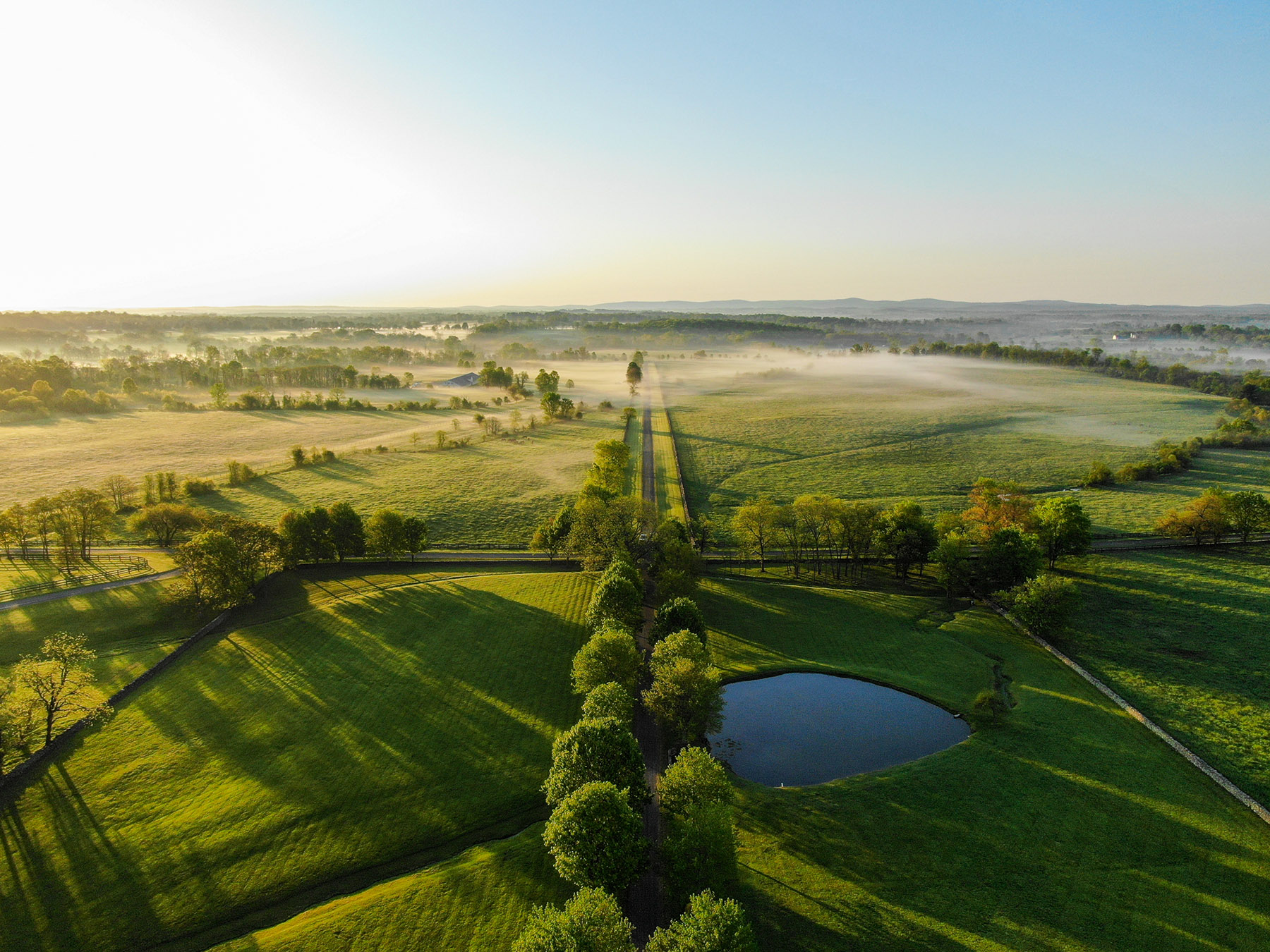 Llangollen property picture 57 of 98
