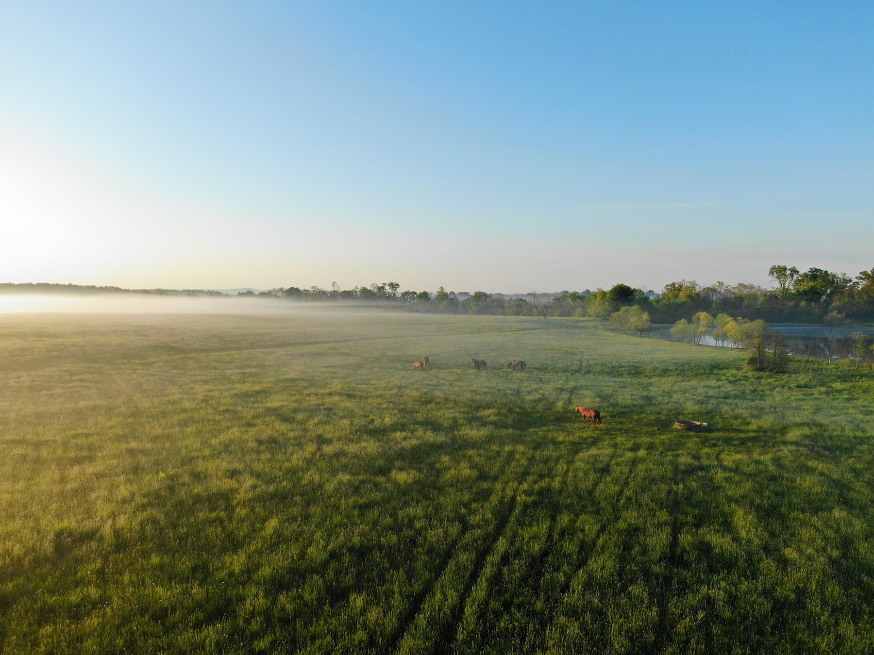 Llangollen property picture 86 of 98