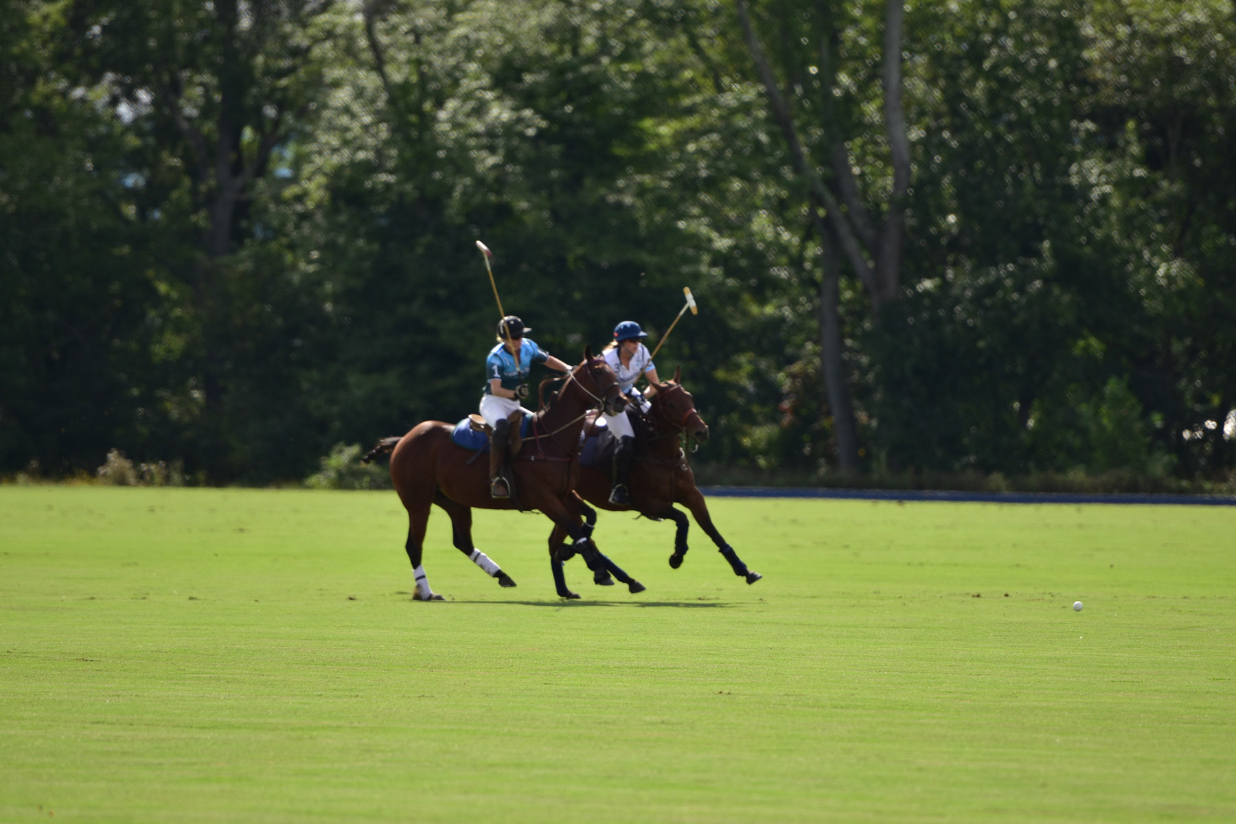 Llangollen property picture 72 of 98