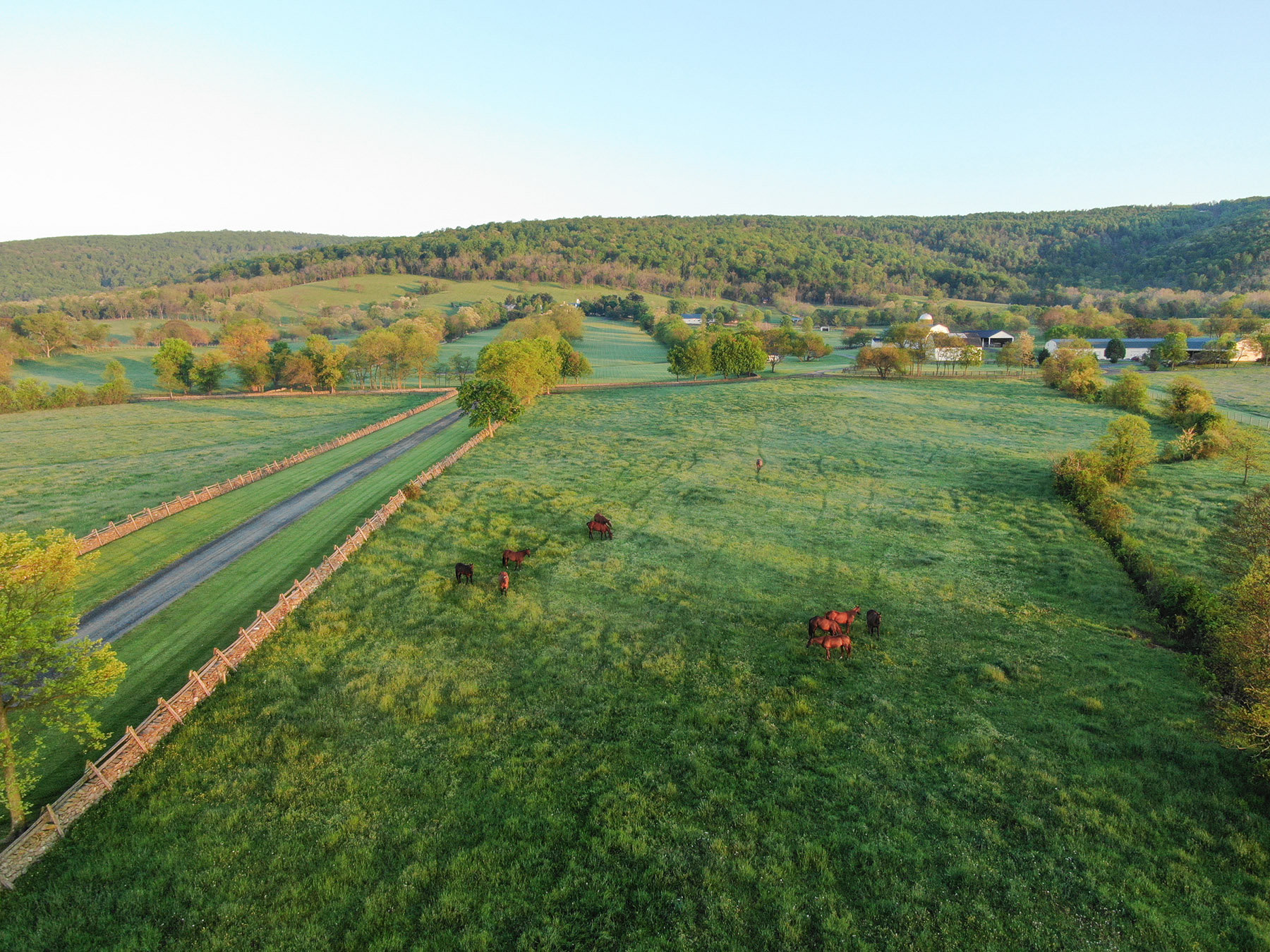 Llangollen property picture 58 of 98