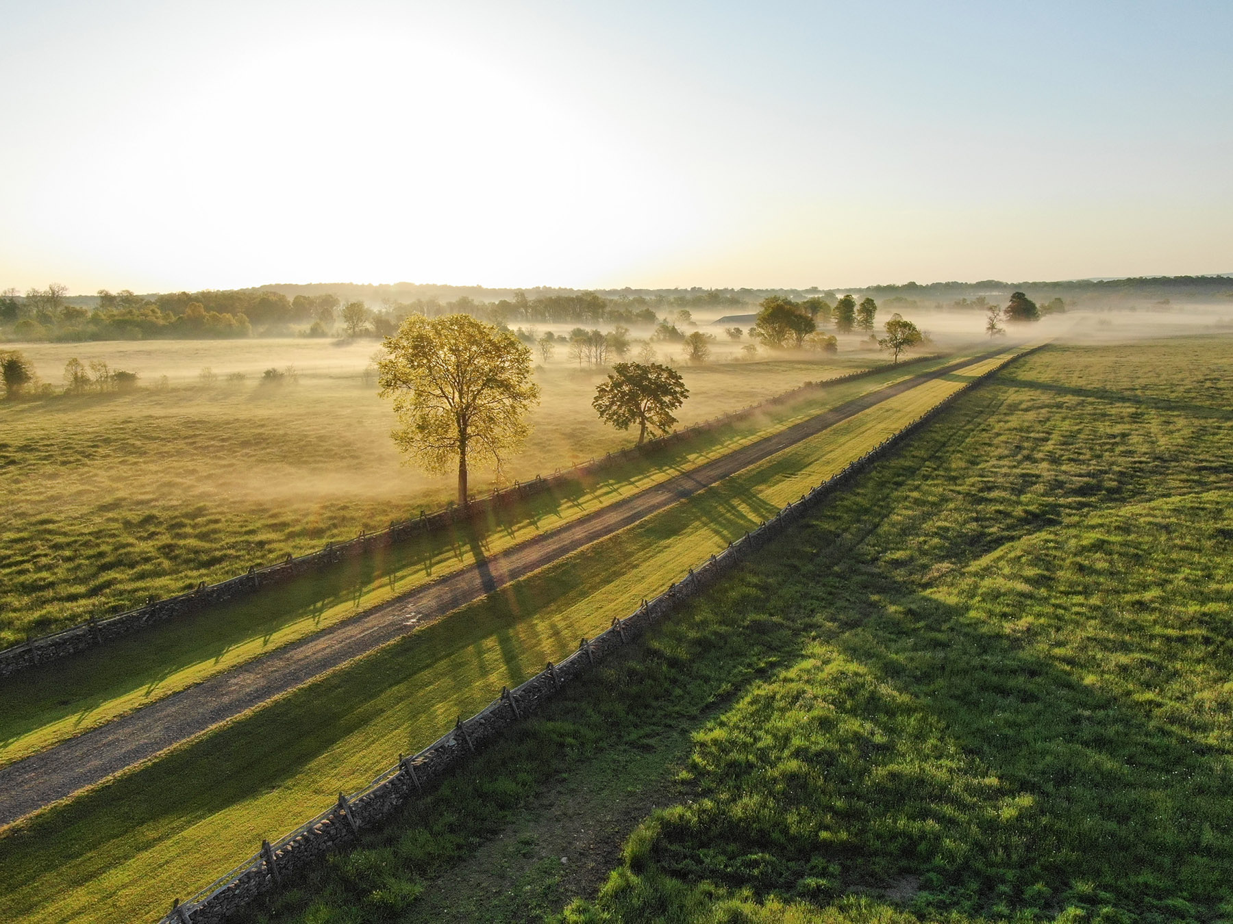 Llangollen property picture 85 of 98