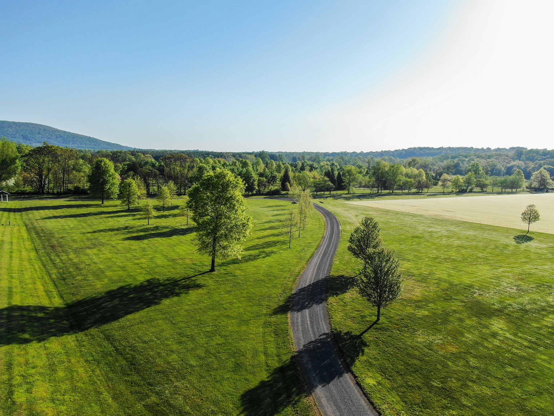 Llangollen property picture 67 of 98