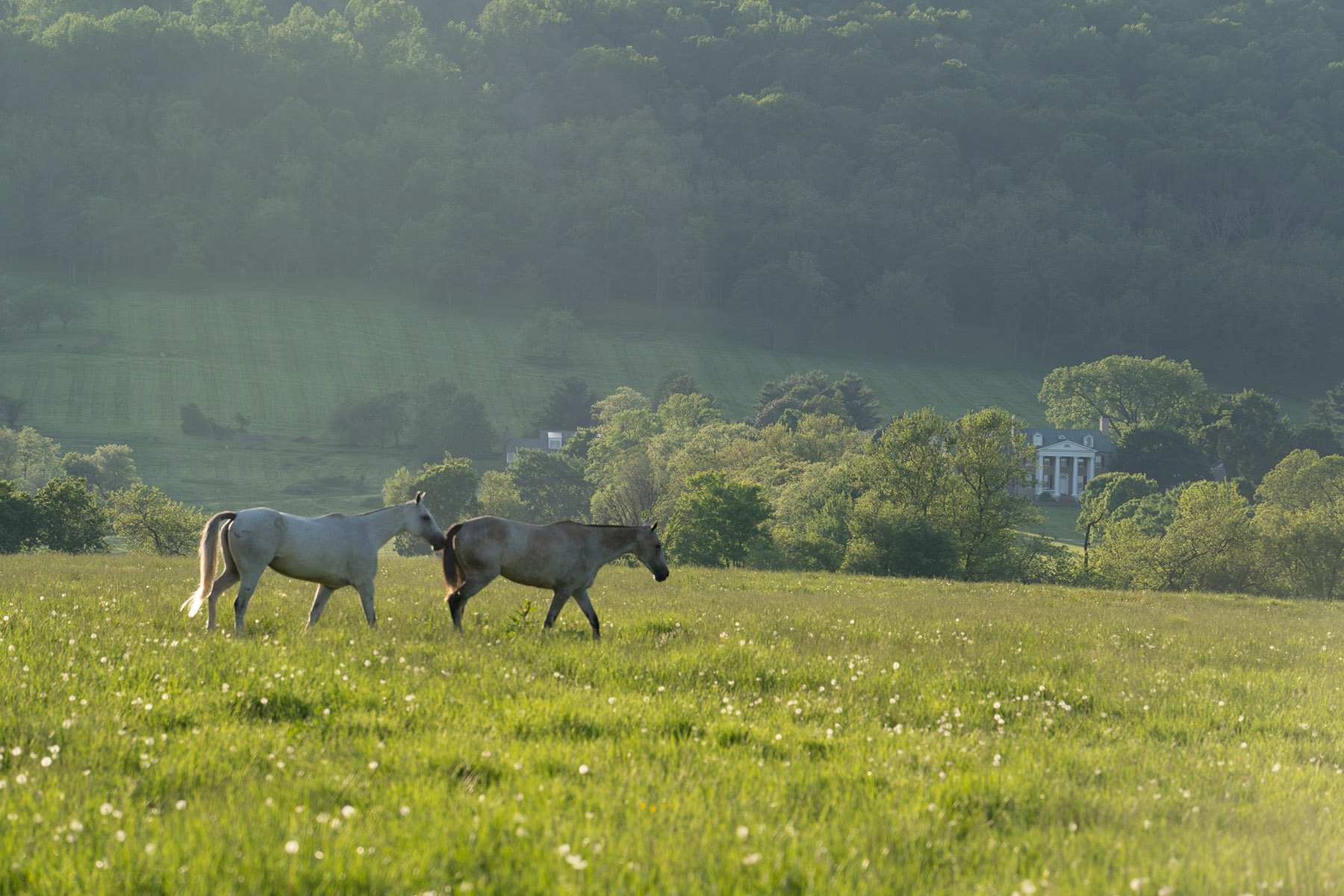Llangollen property picture 84 of 98