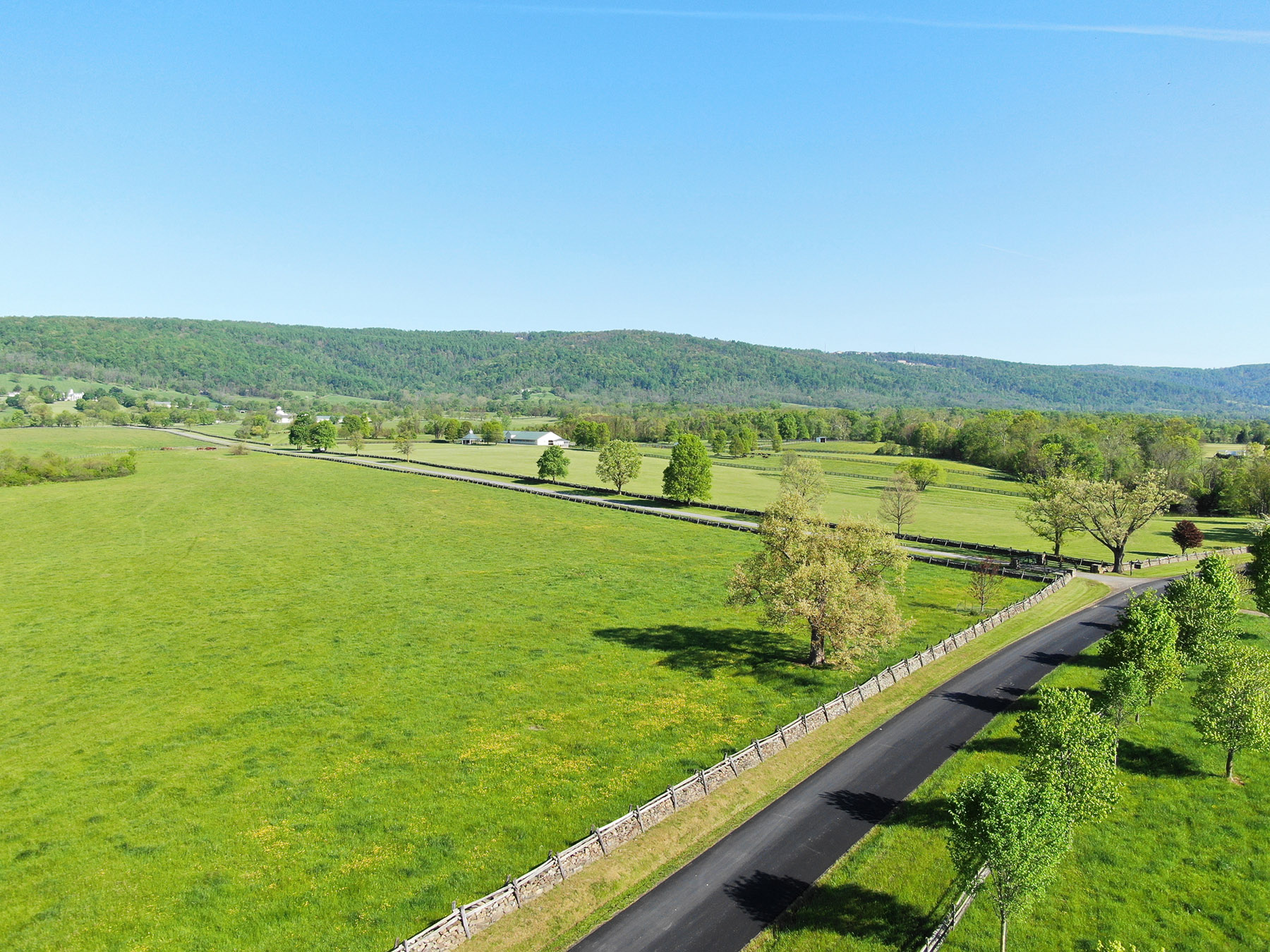 Llangollen property picture 7 of 98