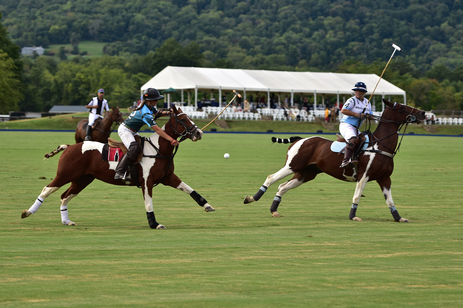 Llangollen property picture 74 of 98