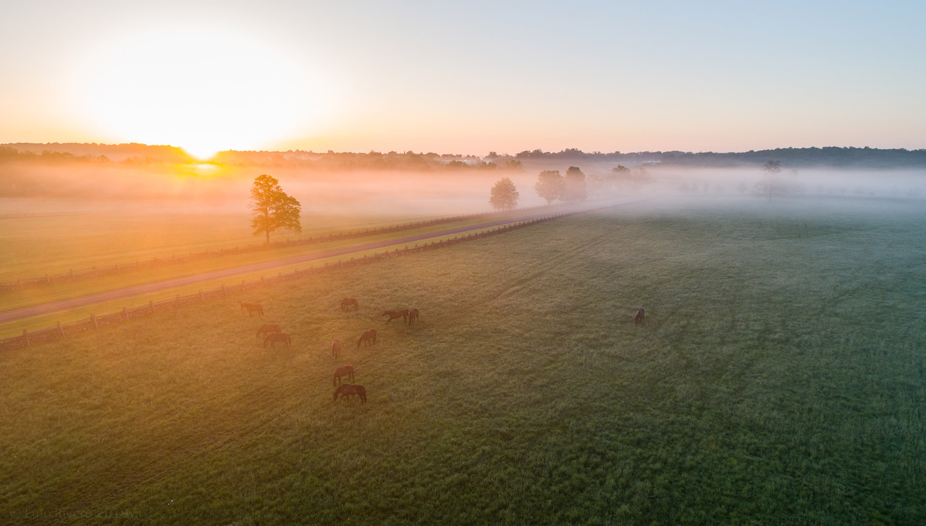 Llangollen property picture 98 of 98