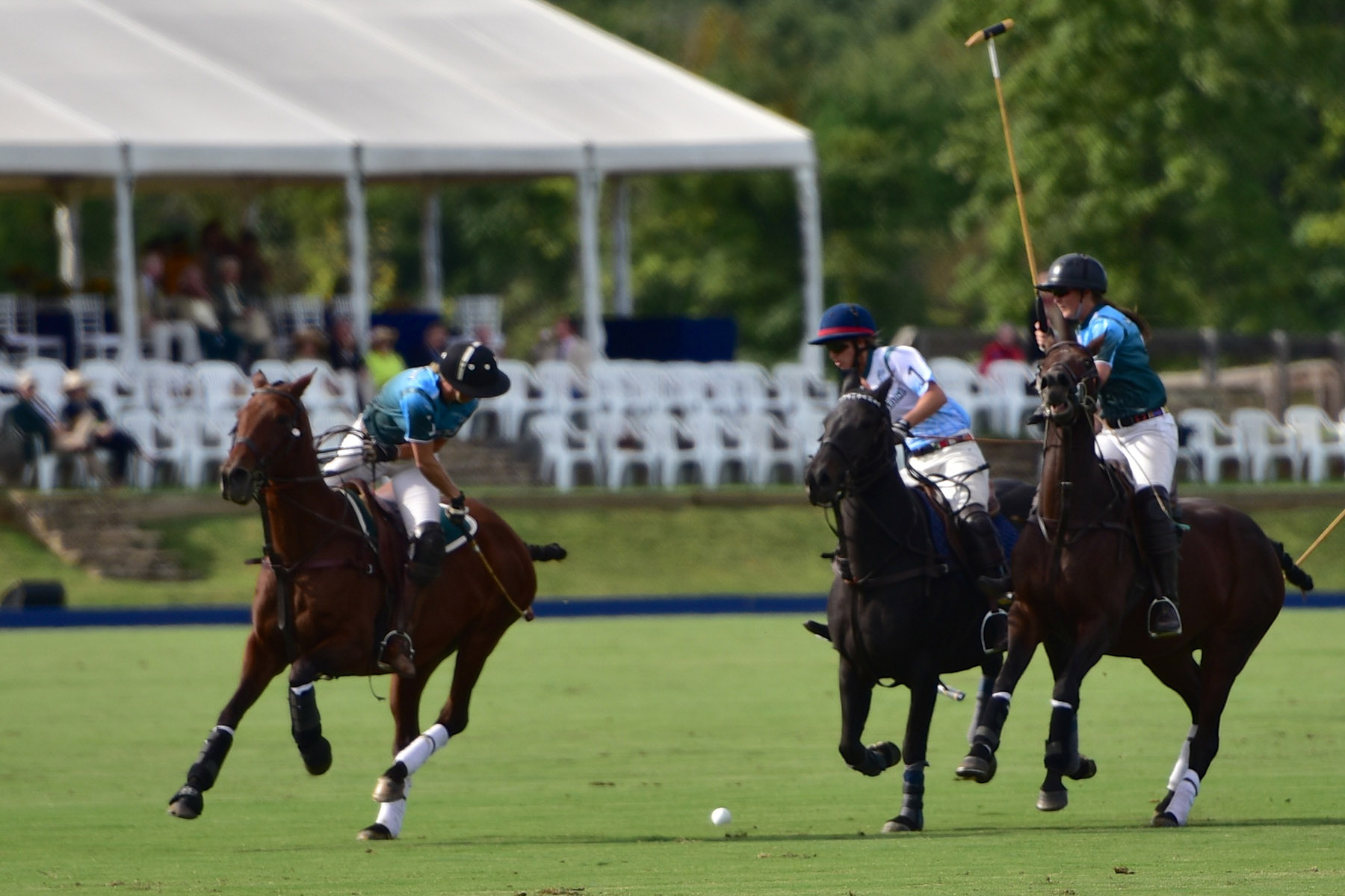 Llangollen property picture 73 of 98