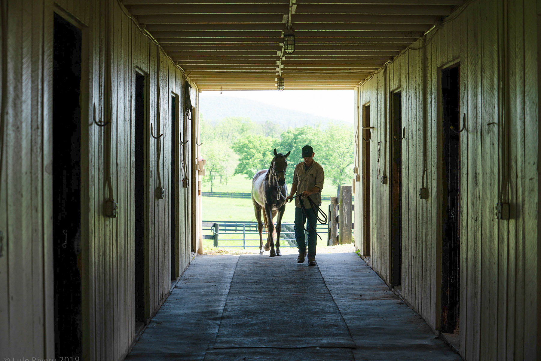 Llangollen property picture 82 of 98