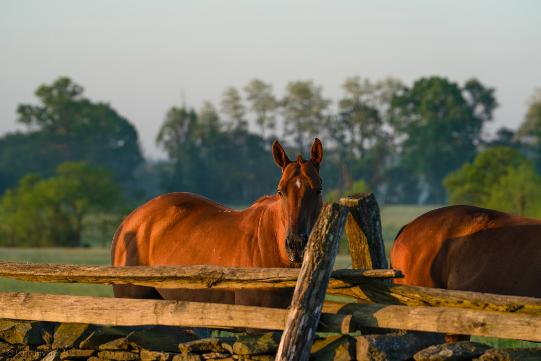 Llangollen property picture 59 of 98