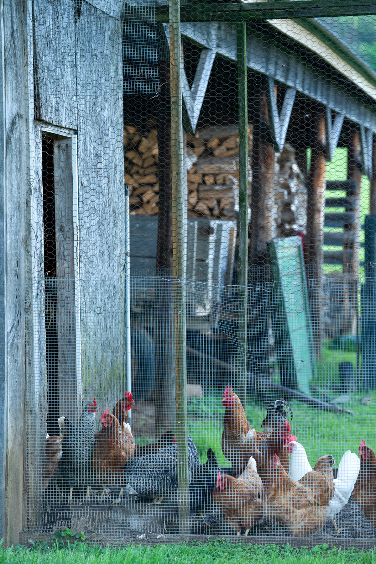 Llangollen property picture 79 of 98