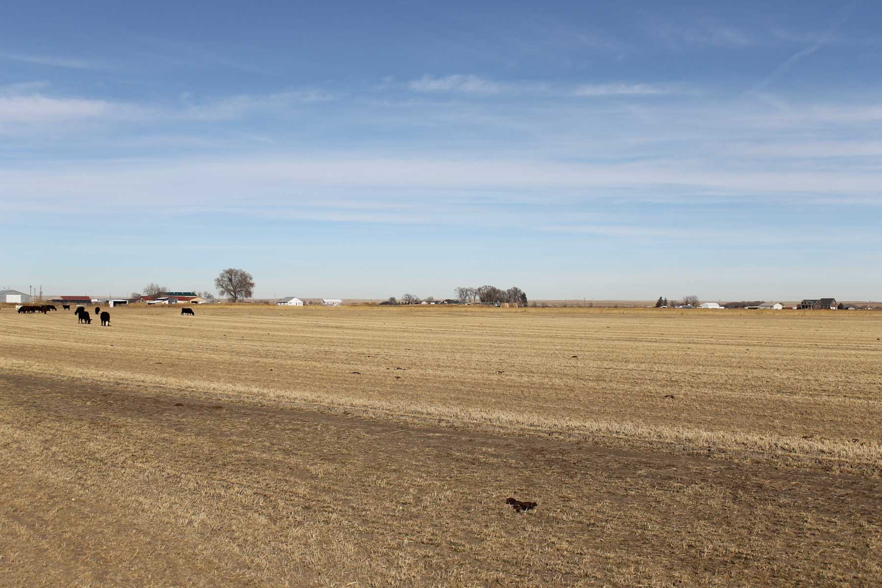 Carlson Family Trust property picture 25 of 26