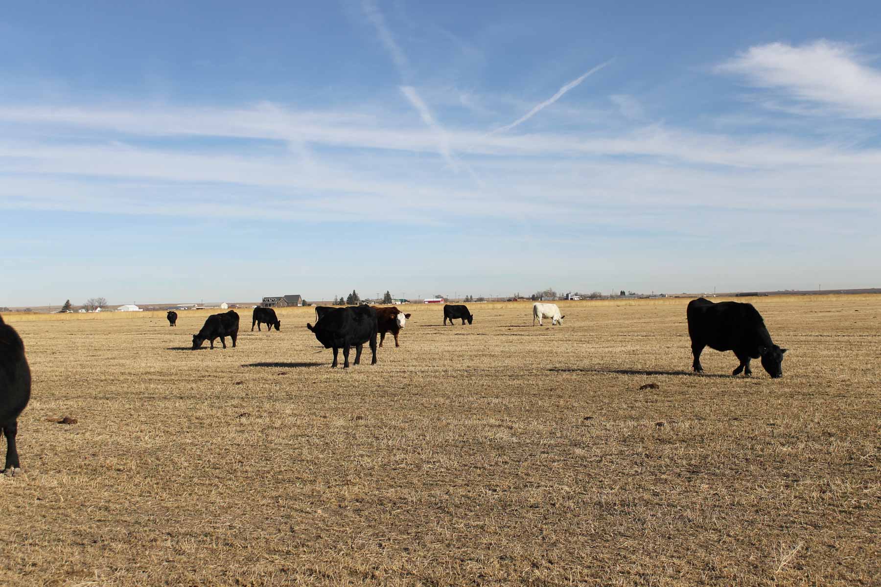 Carlson Family Trust property picture 7 of 26