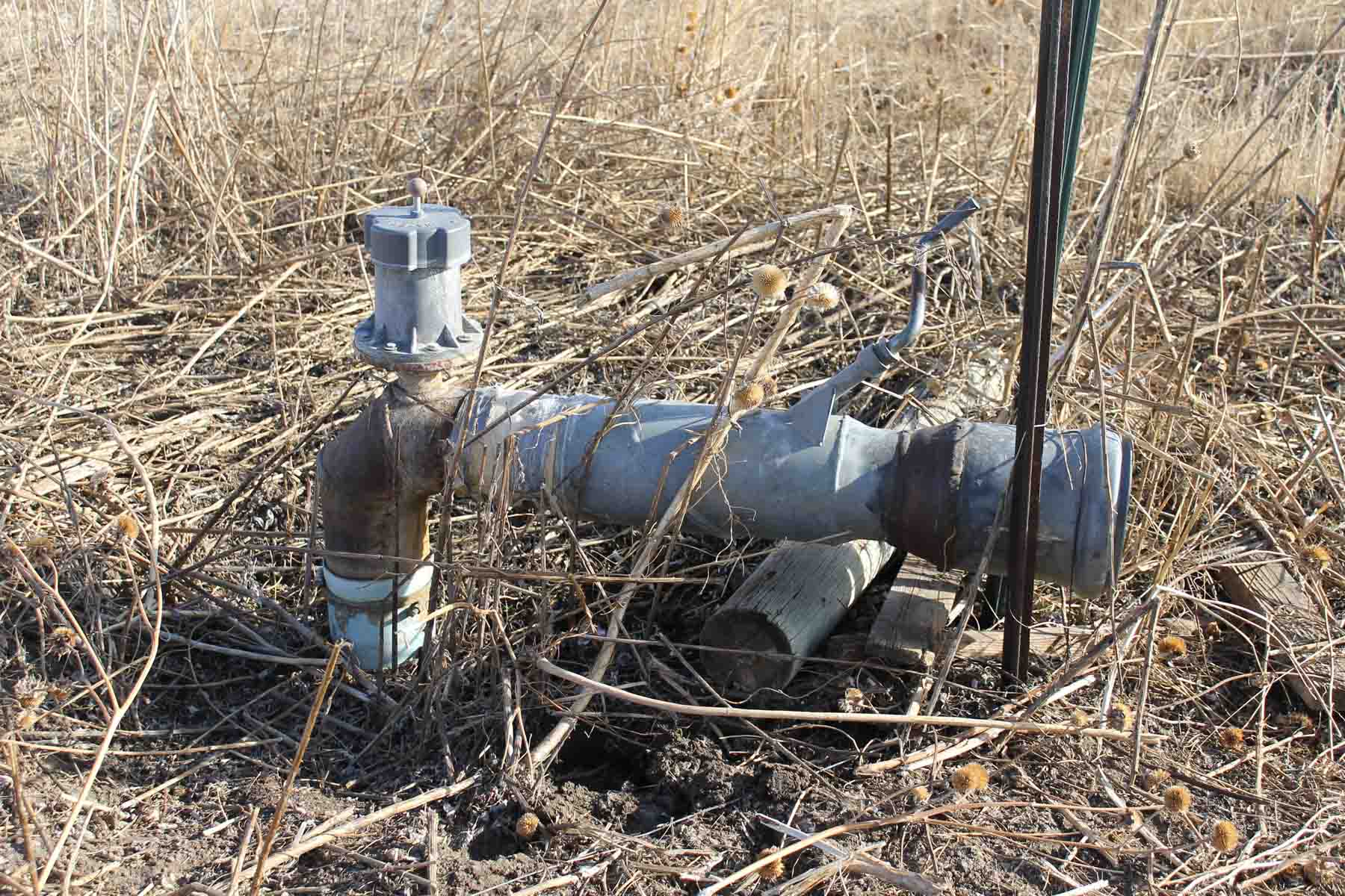 Carlson Family Trust property picture 20 of 26