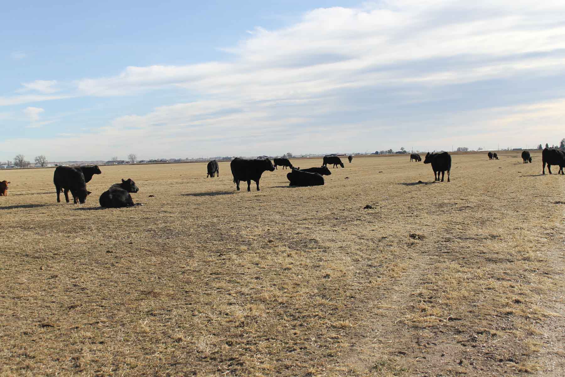 Carlson Family Trust property picture 23 of 26