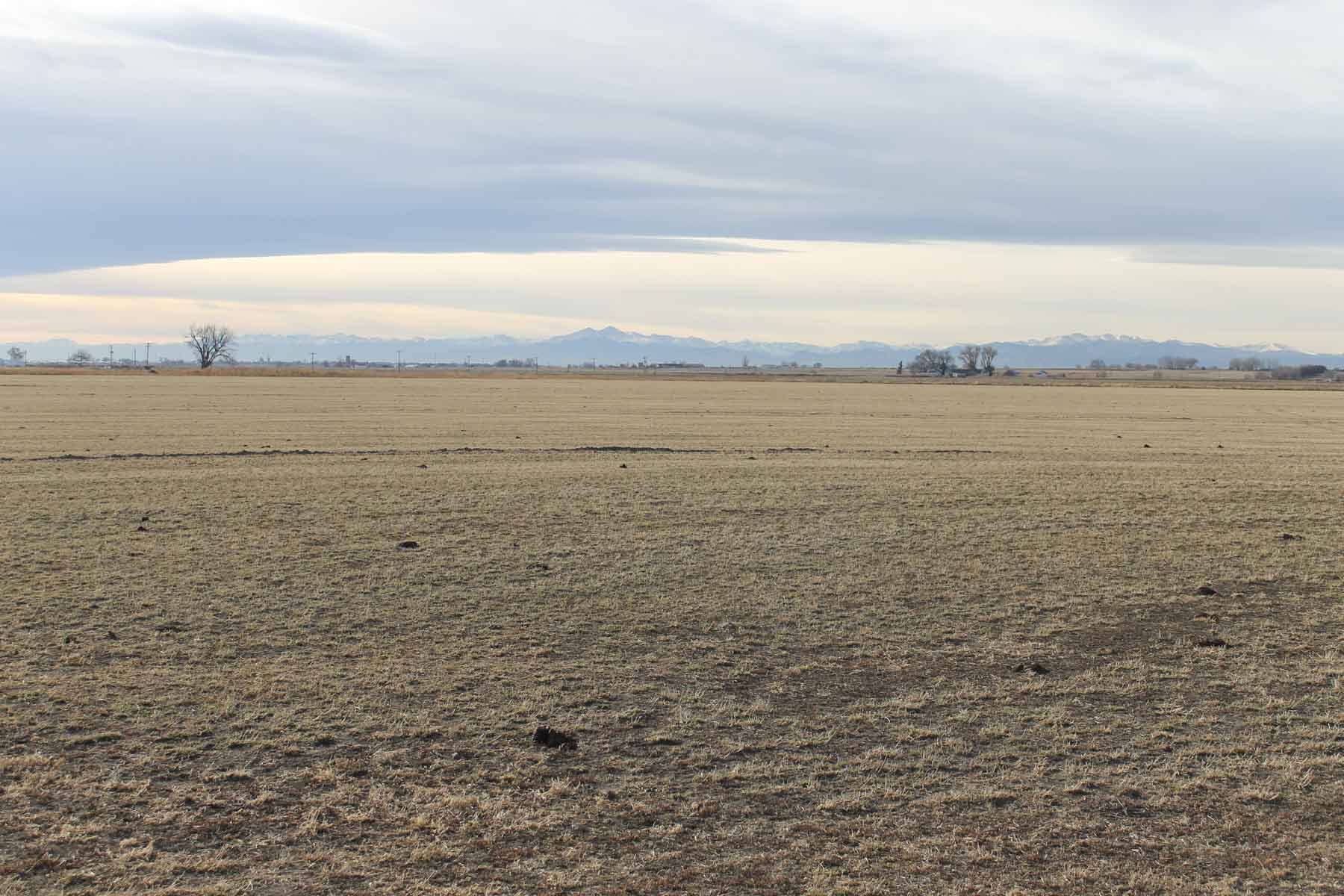 Carlson Family Trust property picture 8 of 26