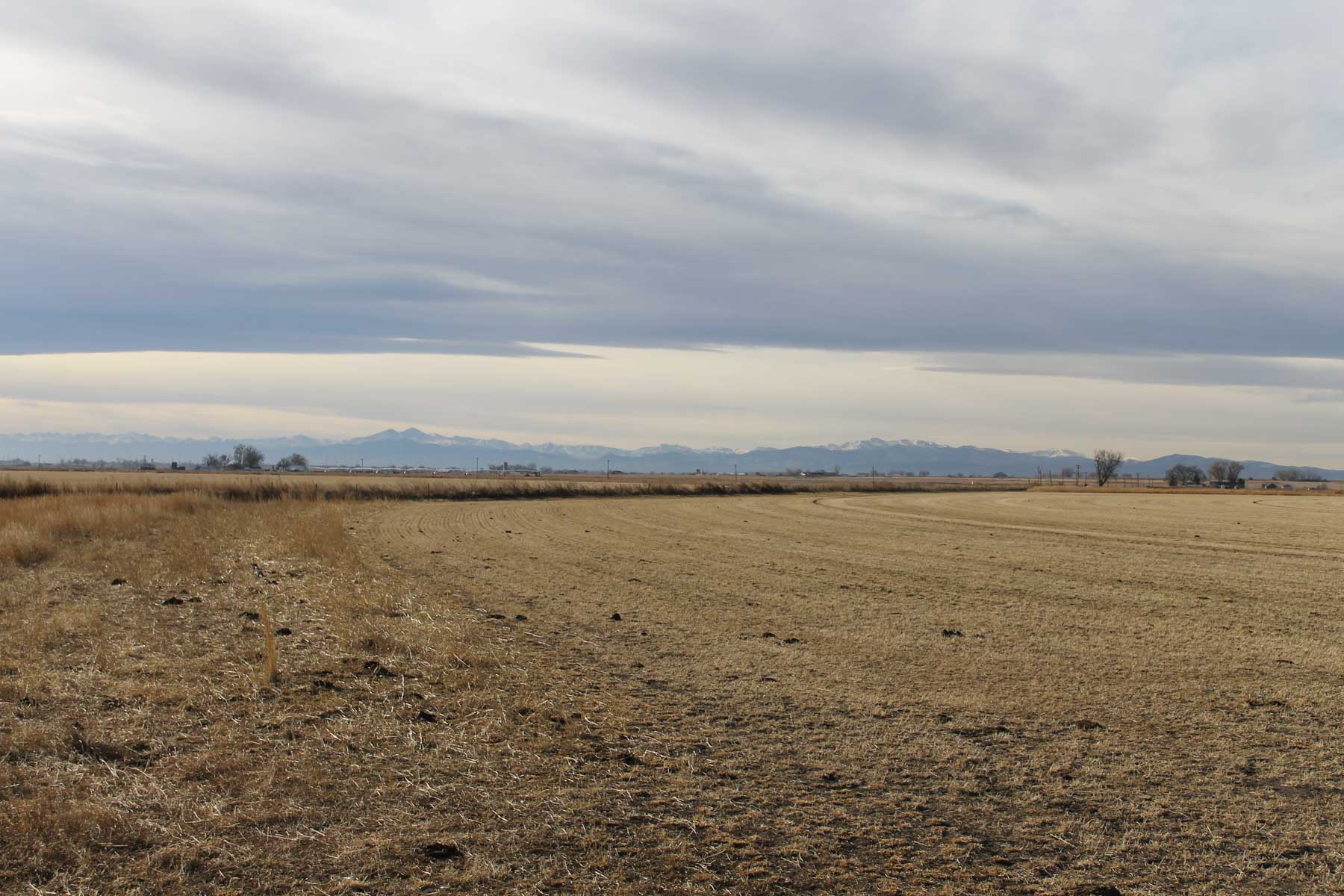 Carlson Family Trust property picture 10 of 26