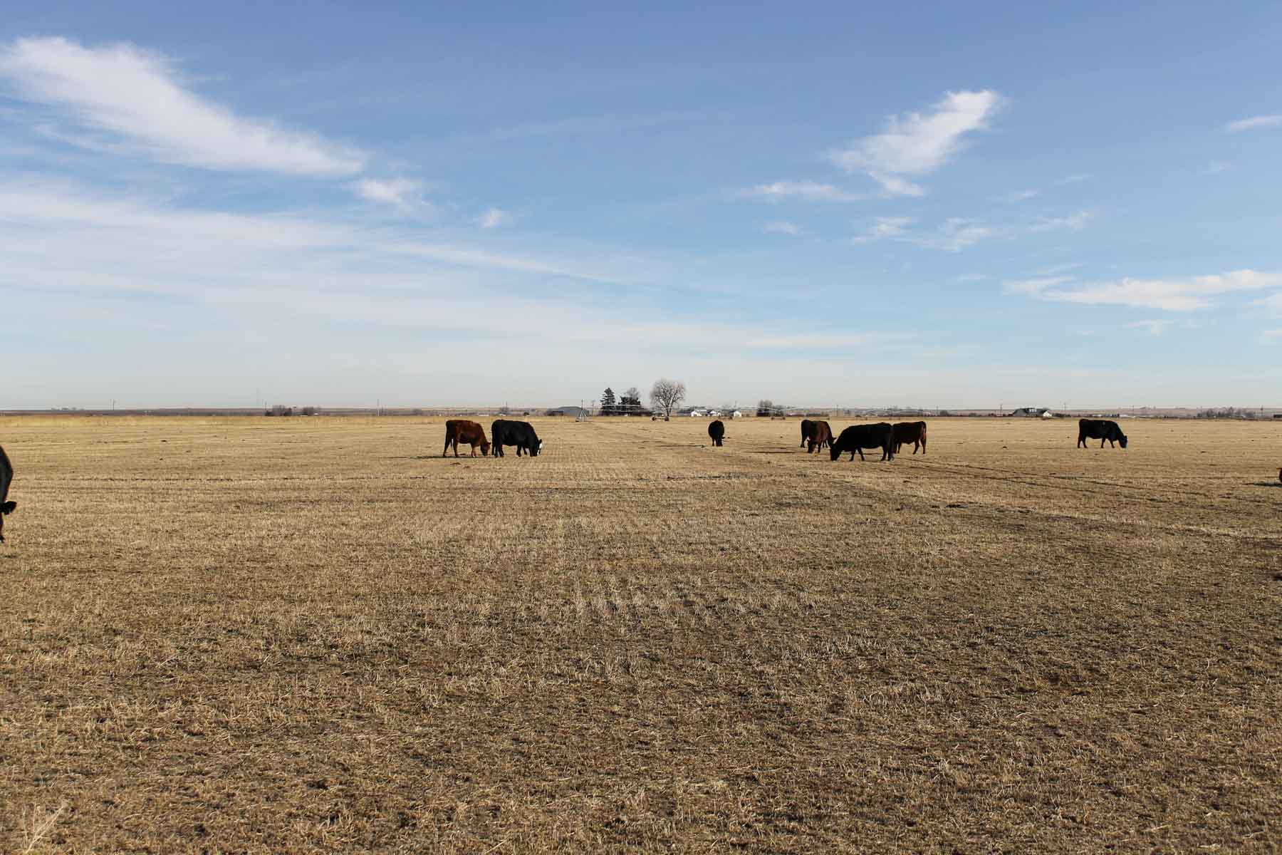 Carlson Family Trust property picture 4 of 26