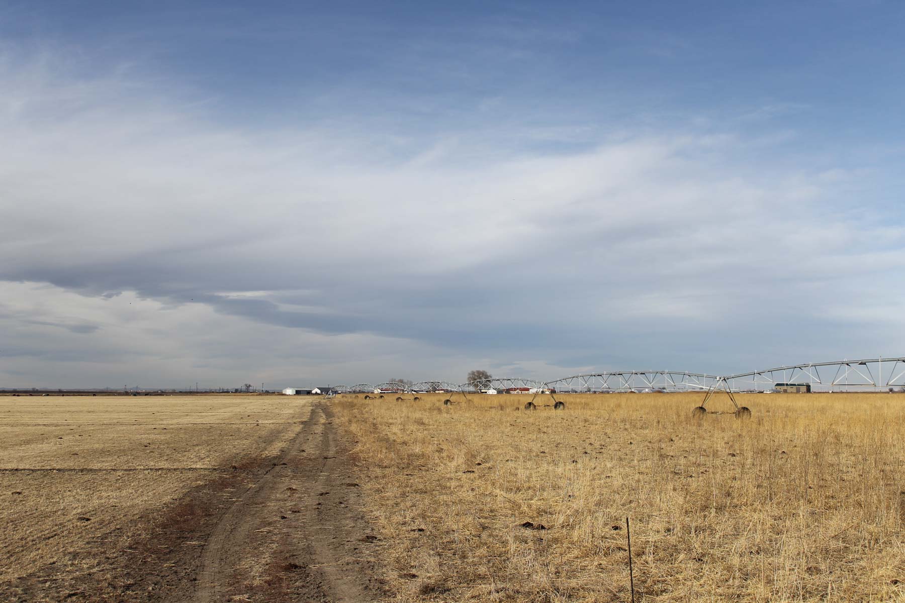 Carlson Family Trust property picture 5 of 26