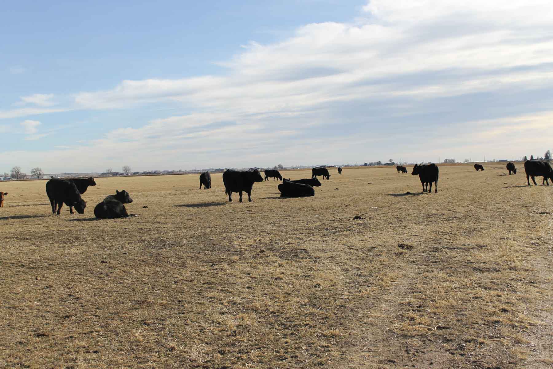 Carlson Family Trust property picture 22 of 26