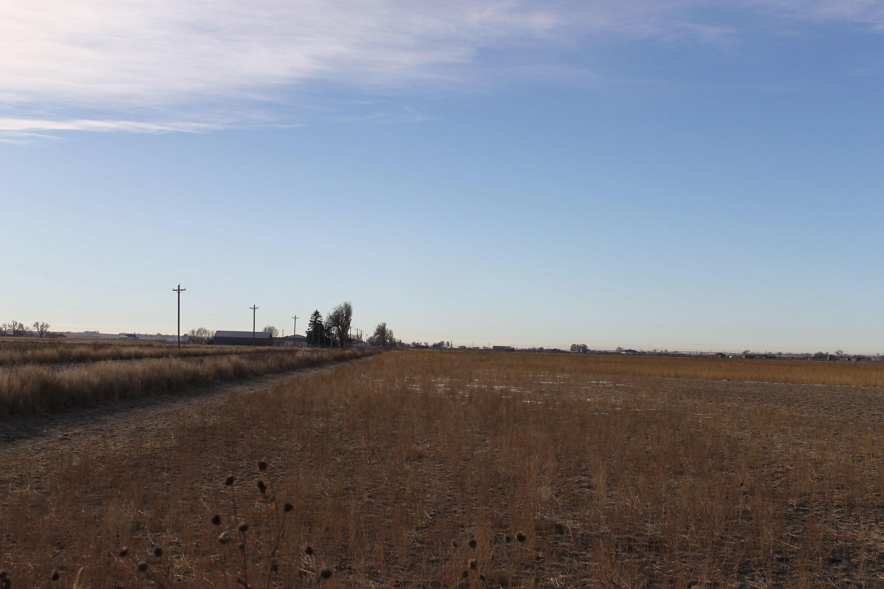 Carlson Family Trust property picture 6 of 26