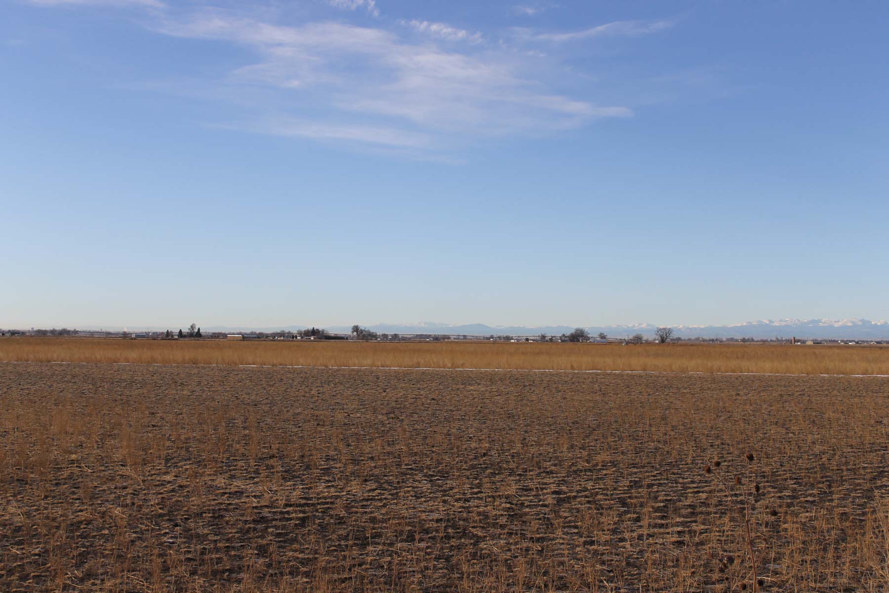 Carlson Family Trust property picture 3 of 26