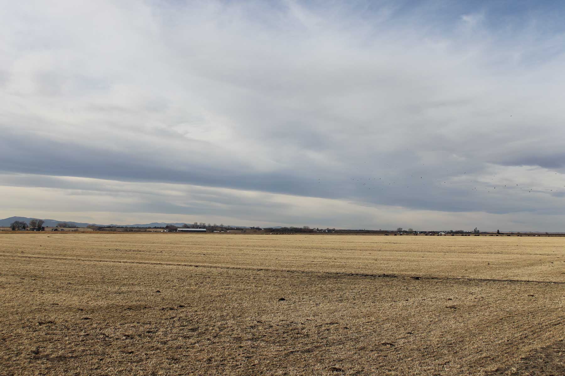 Carlson Family Trust property picture 11 of 26