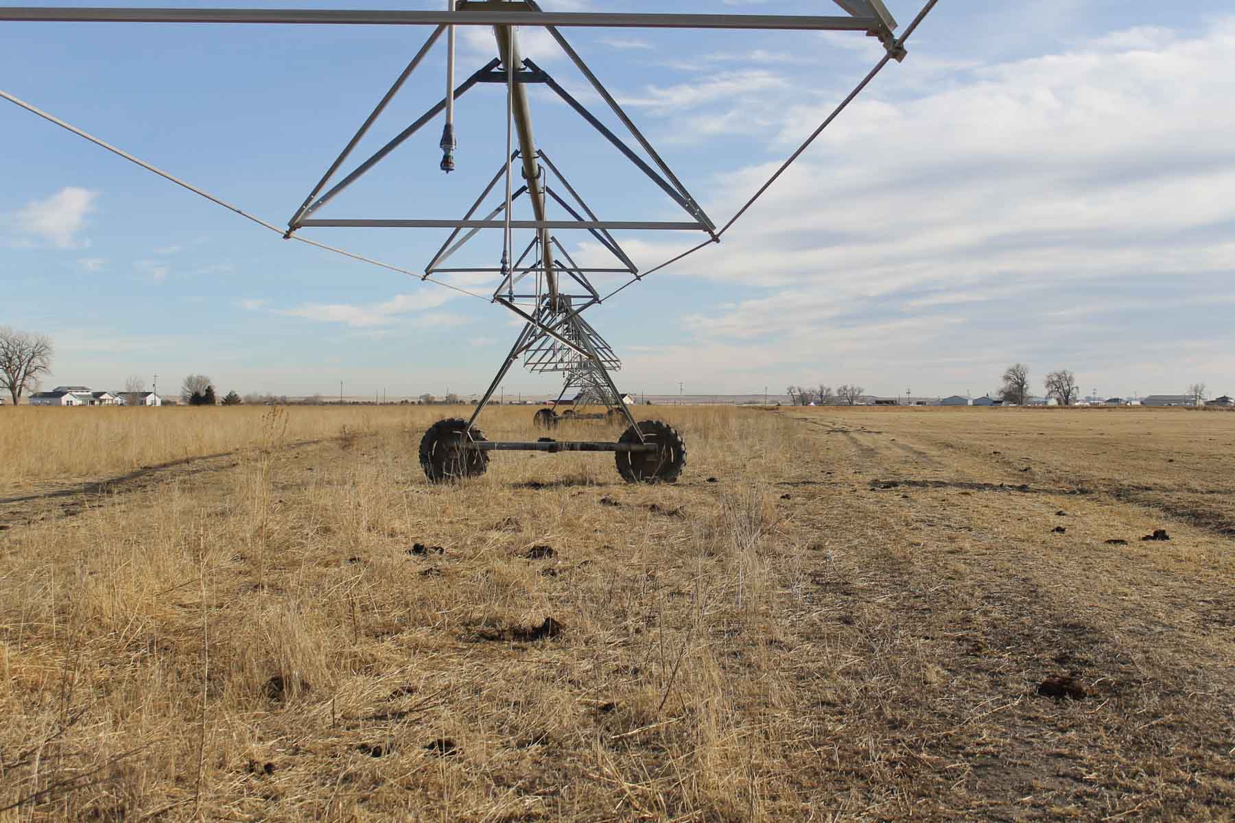 Carlson Family Trust property picture 12 of 26