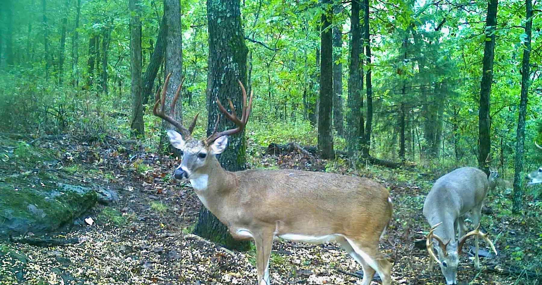 Bird Creek Crossing property picture 59 of 90