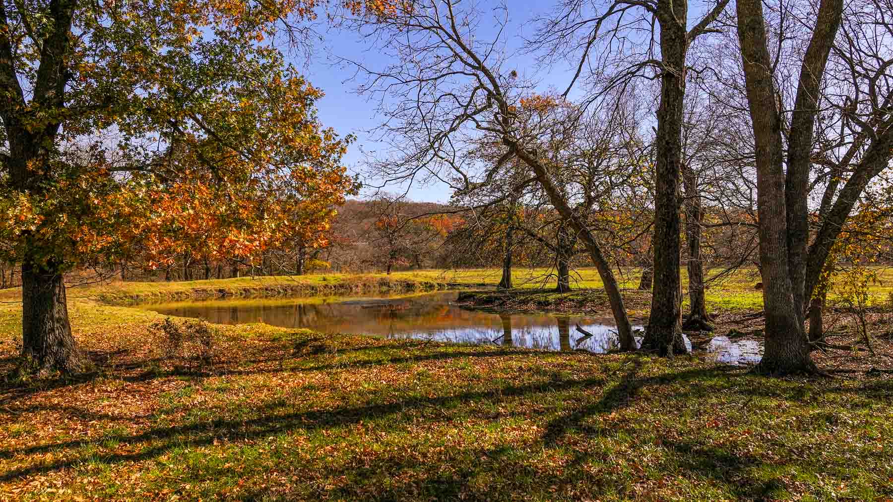 Bird Creek Crossing property picture 53 of 90