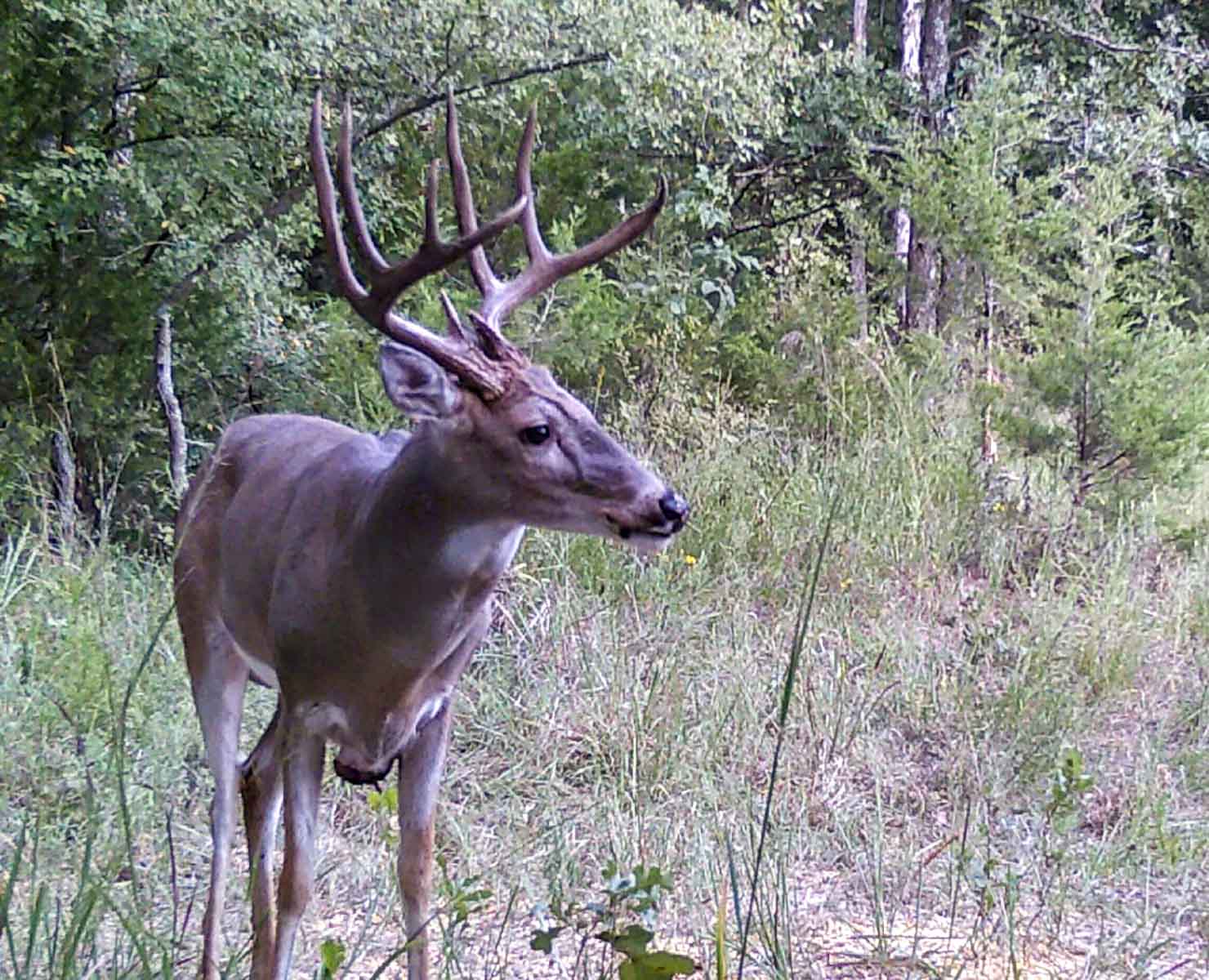Bird Creek Crossing property picture 31 of 90